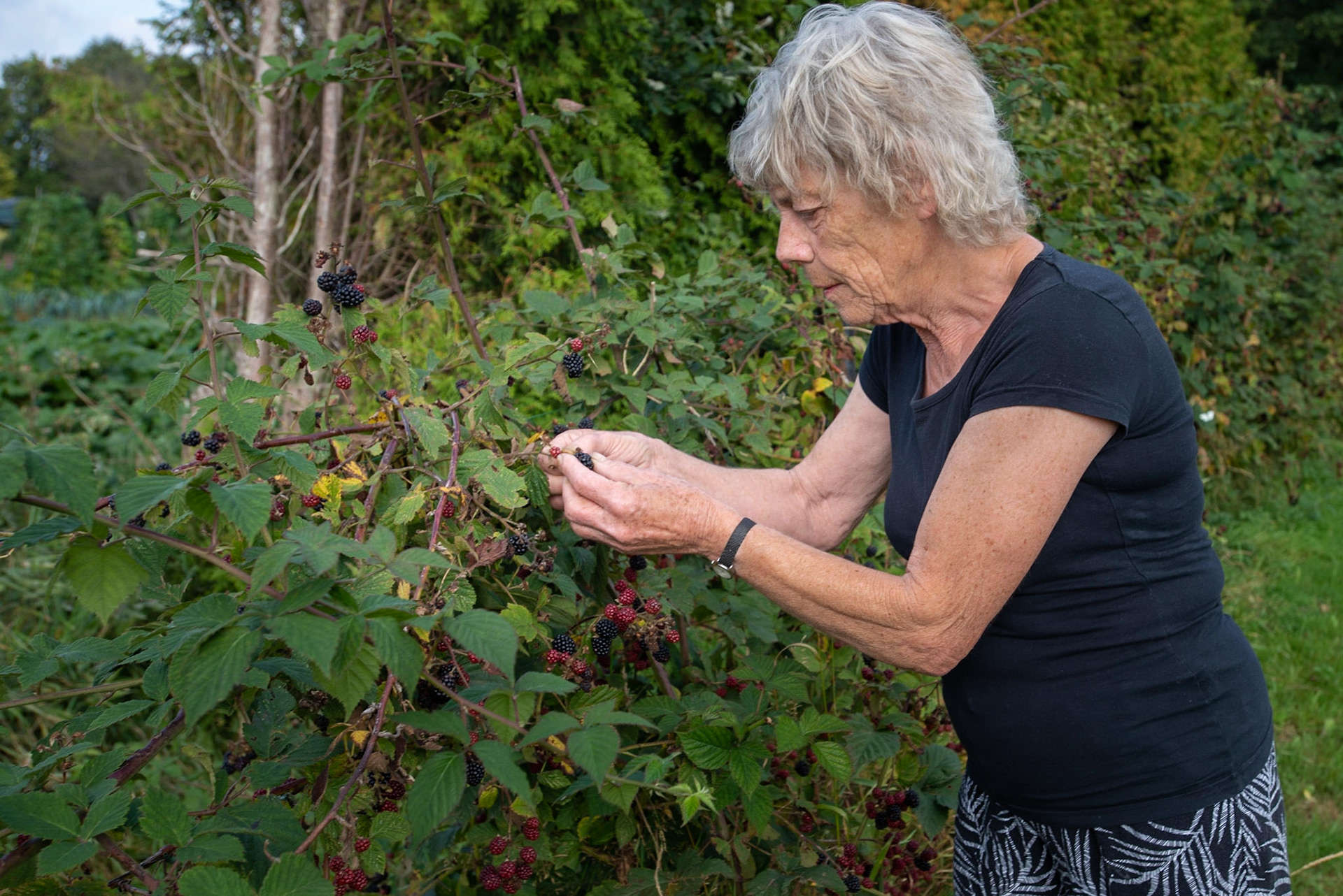 CitaSlow Fietsroute Borger-Odoorn