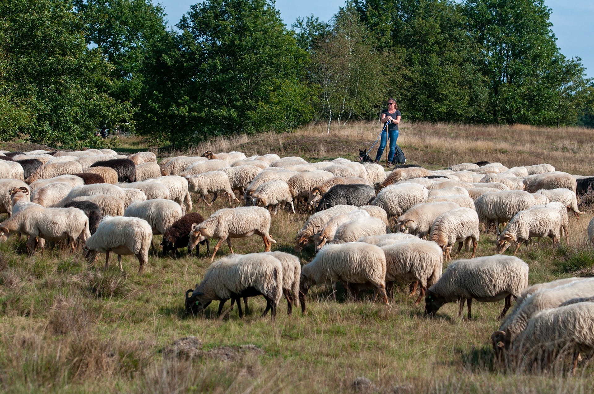 CitaSlow Fietsroute Borger-Odoorn