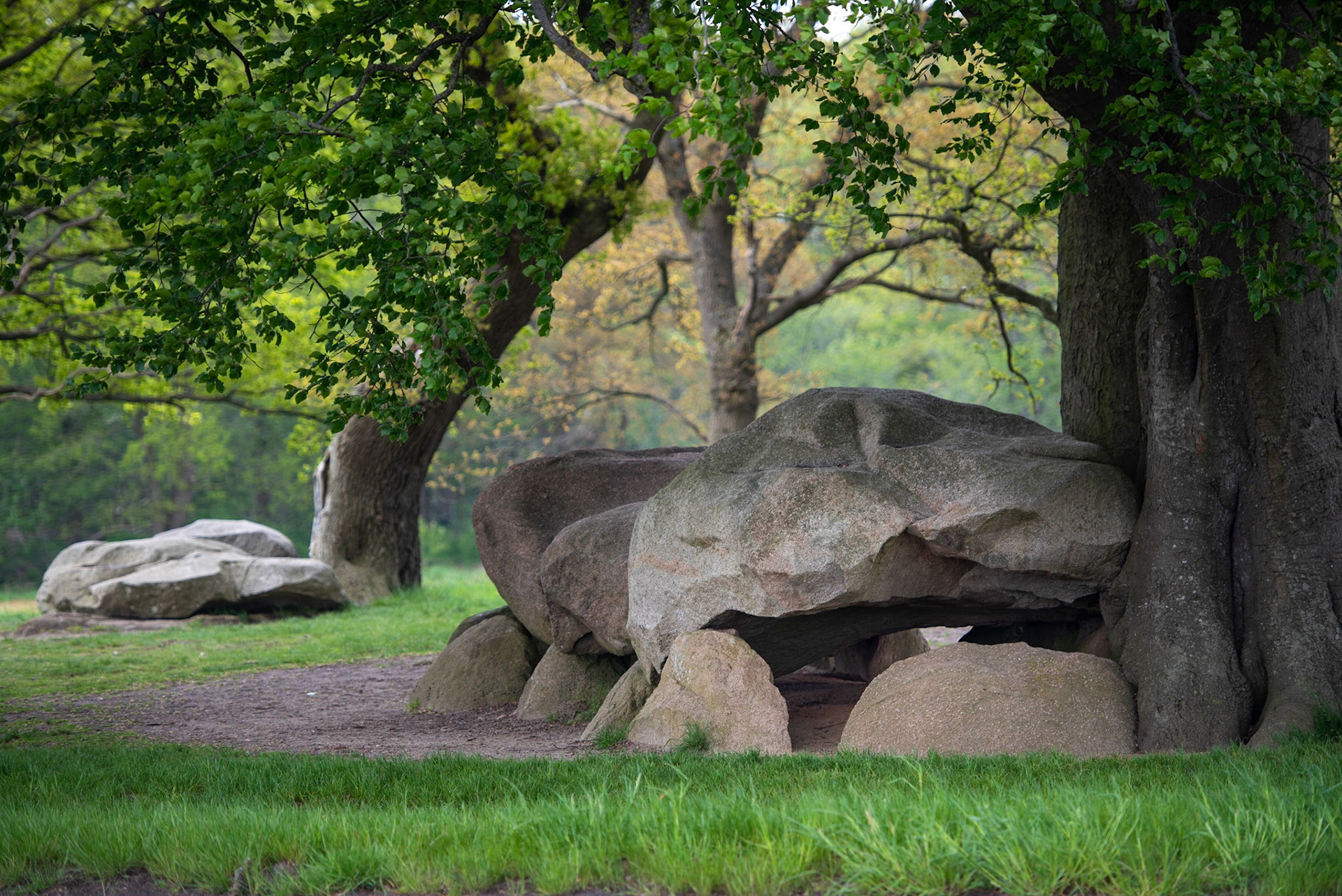 CitaSlow Fietsroute Borger-Odoorn