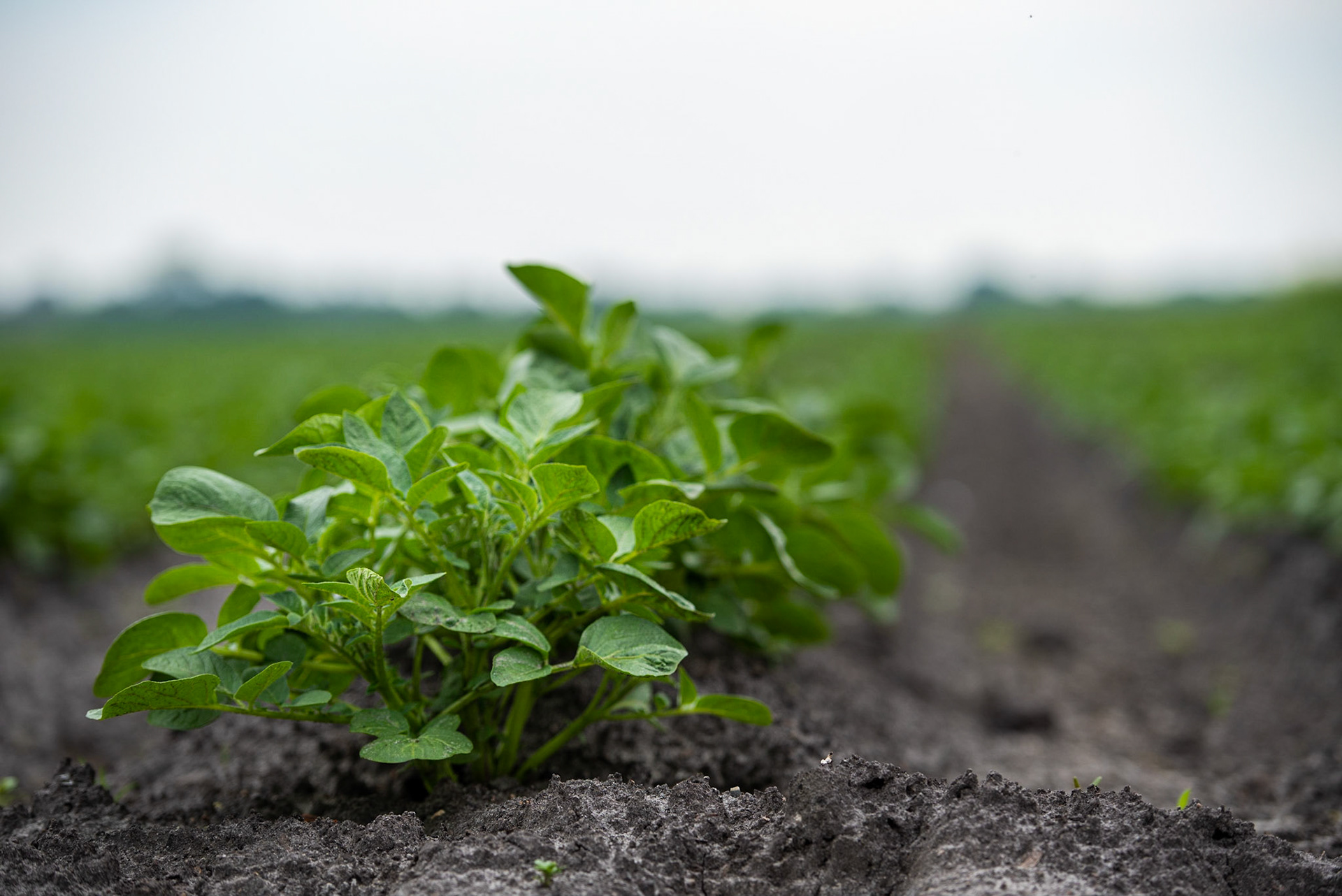 CitaSlow Fietsroute Borger-Odoorn