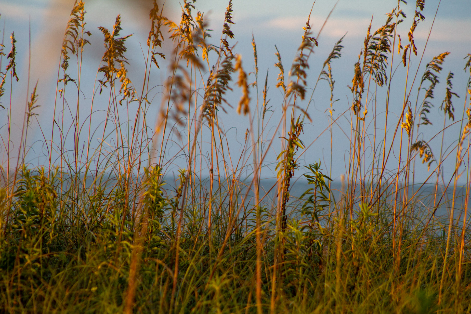 Topsail Beach