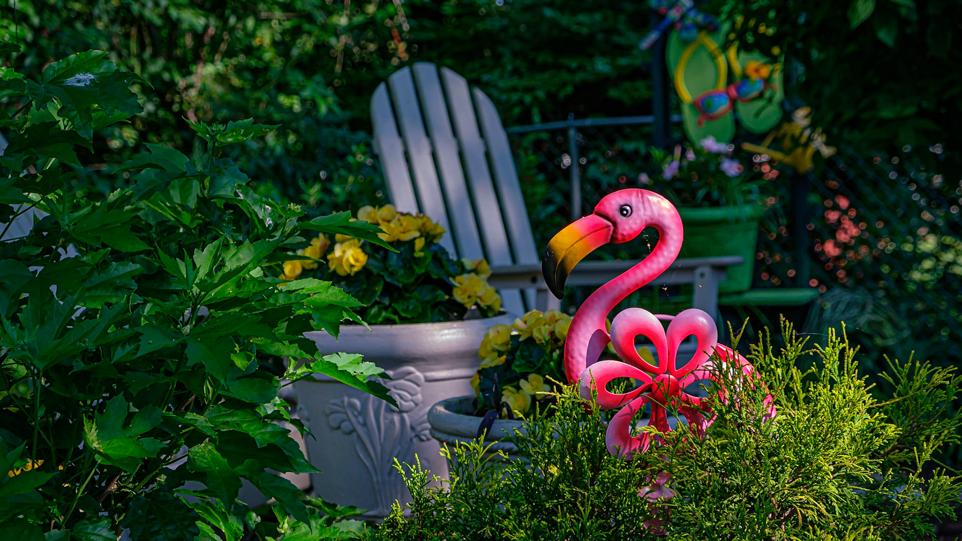 Pink Flamingo