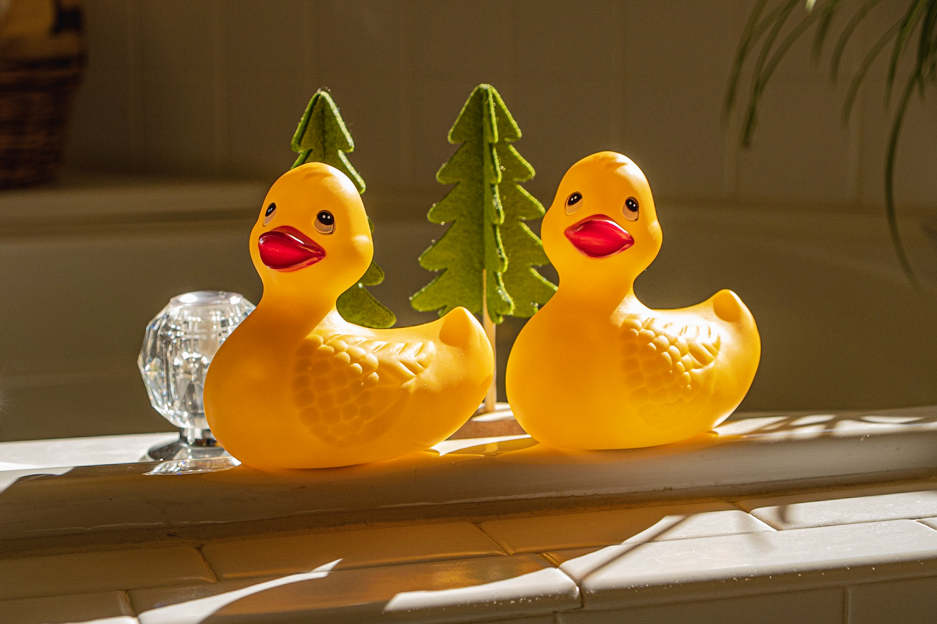 Twin ducklings