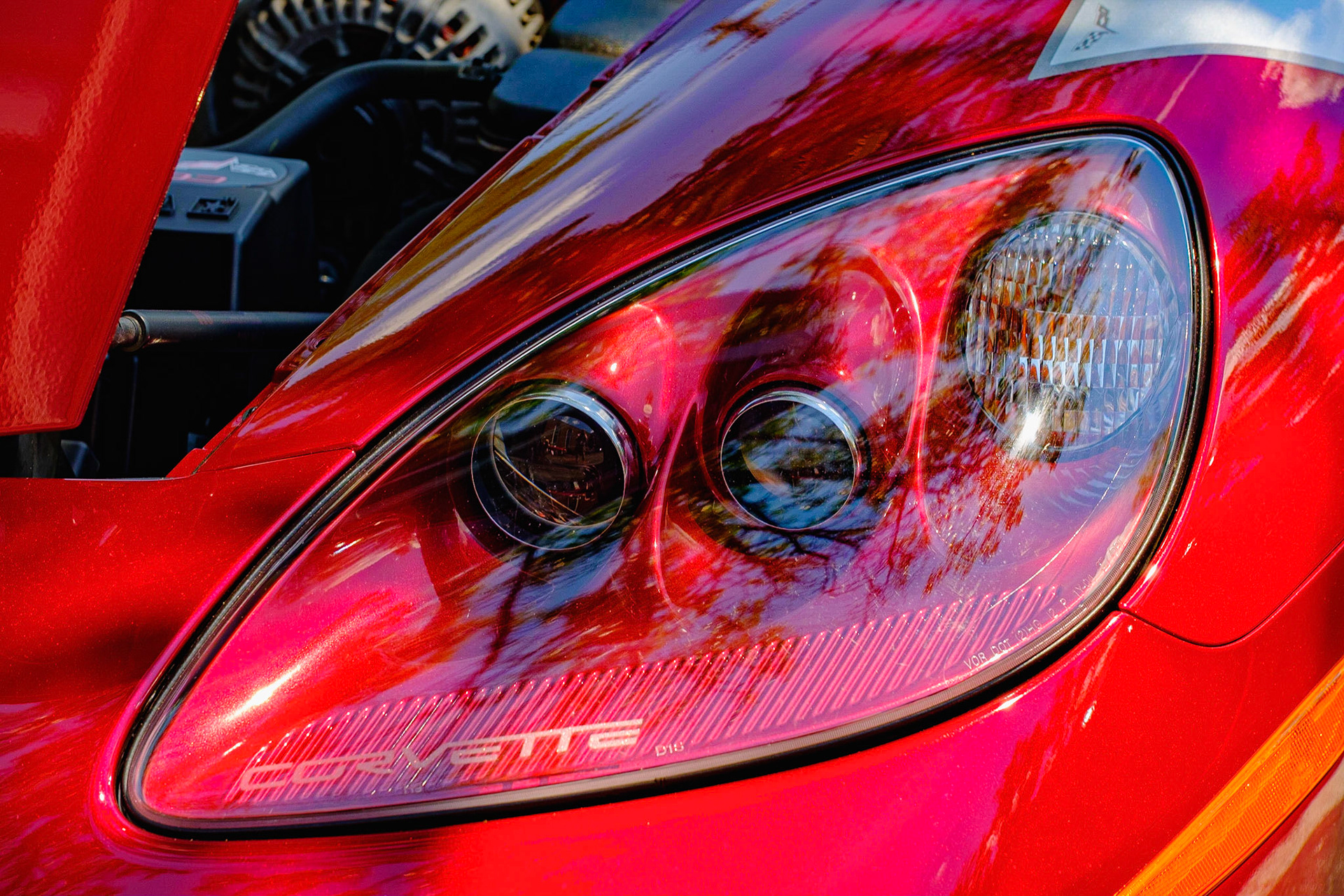 Vette