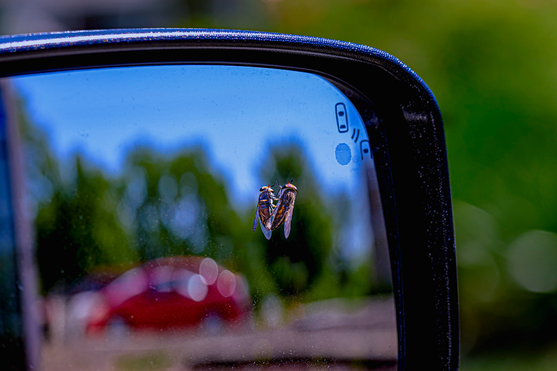 Checking my rear view mirror.