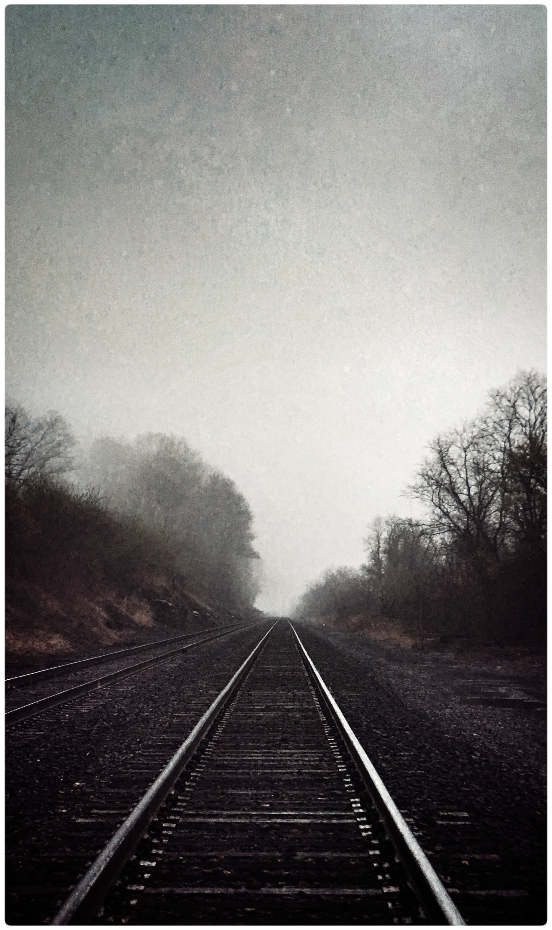 Playing with Filters, Hudson Valley NY