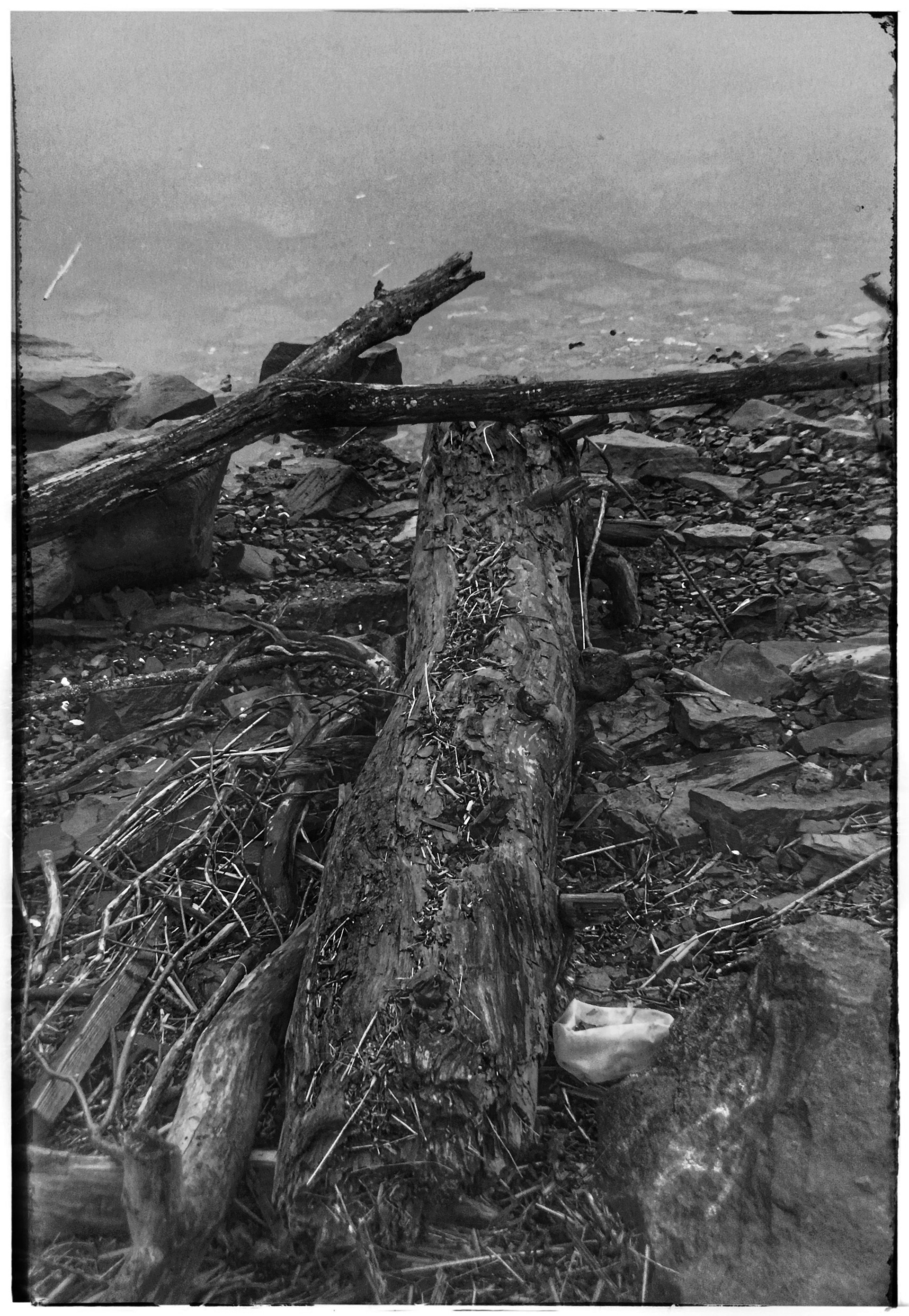 Playing withPlaying with Filters, Hudson Valley NY Filters, Hudson Valley NY