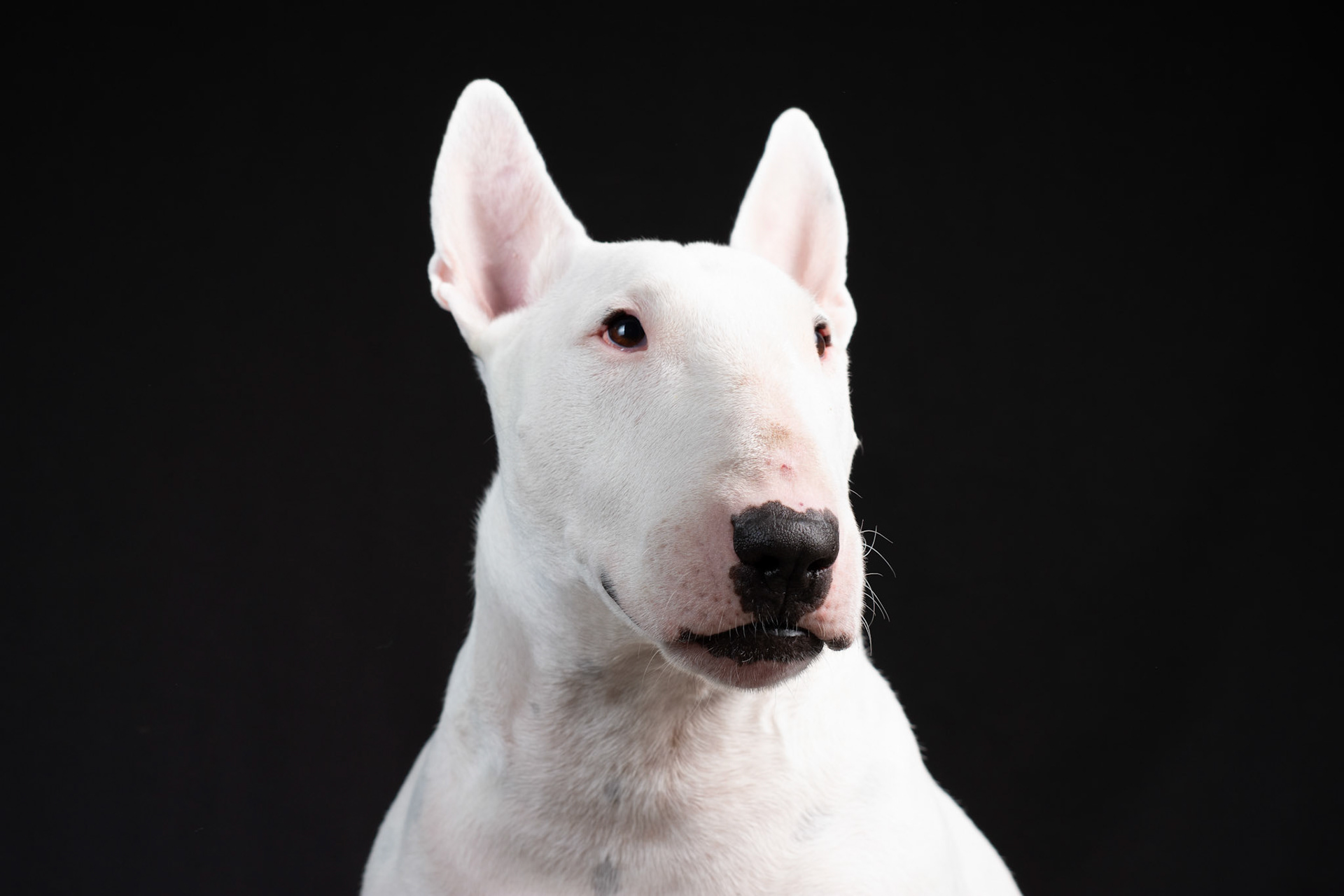 Ragnar