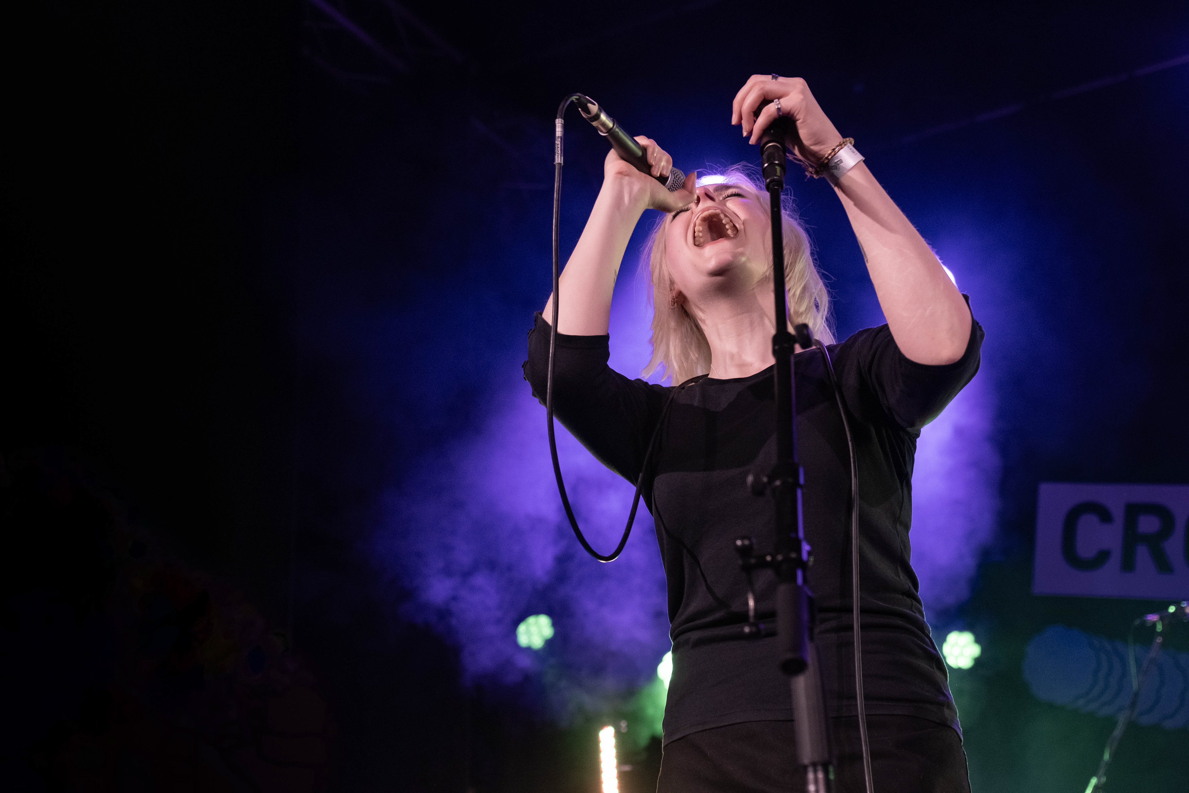 Desperate Journalists at Crocroland