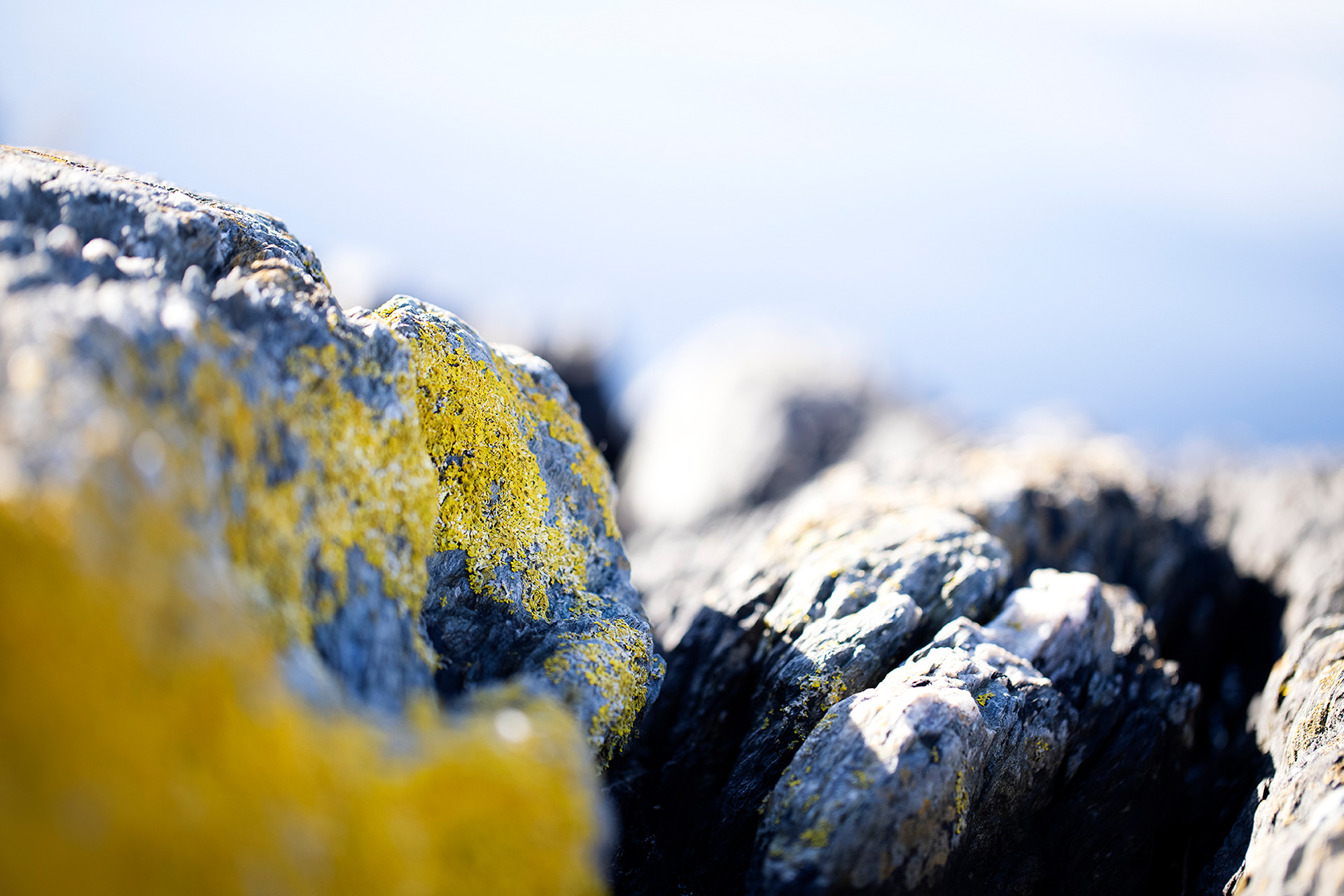 Melvær&co, Solon Eiendom