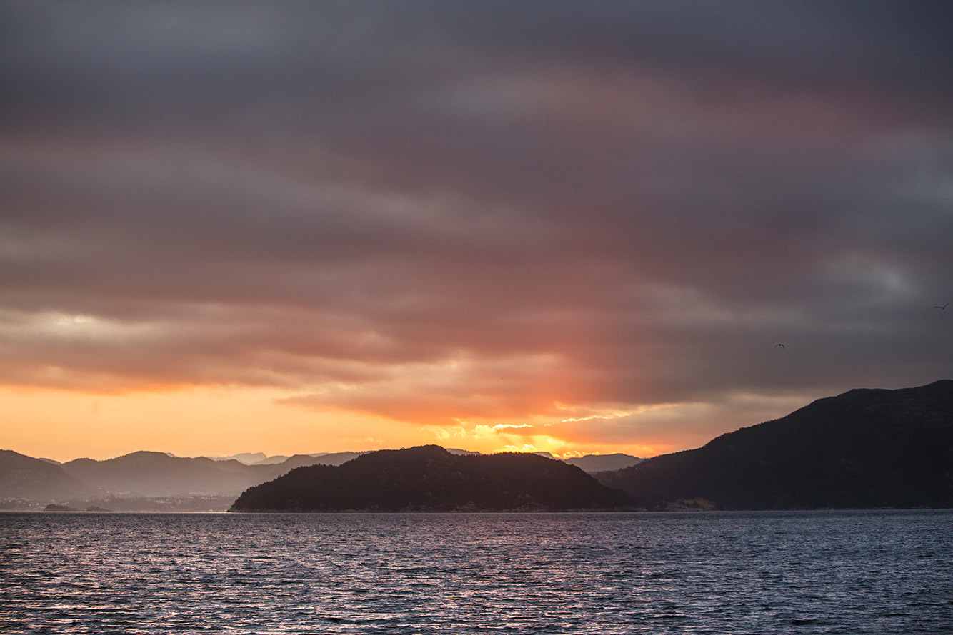 Paradis Brygge /Melvær&co