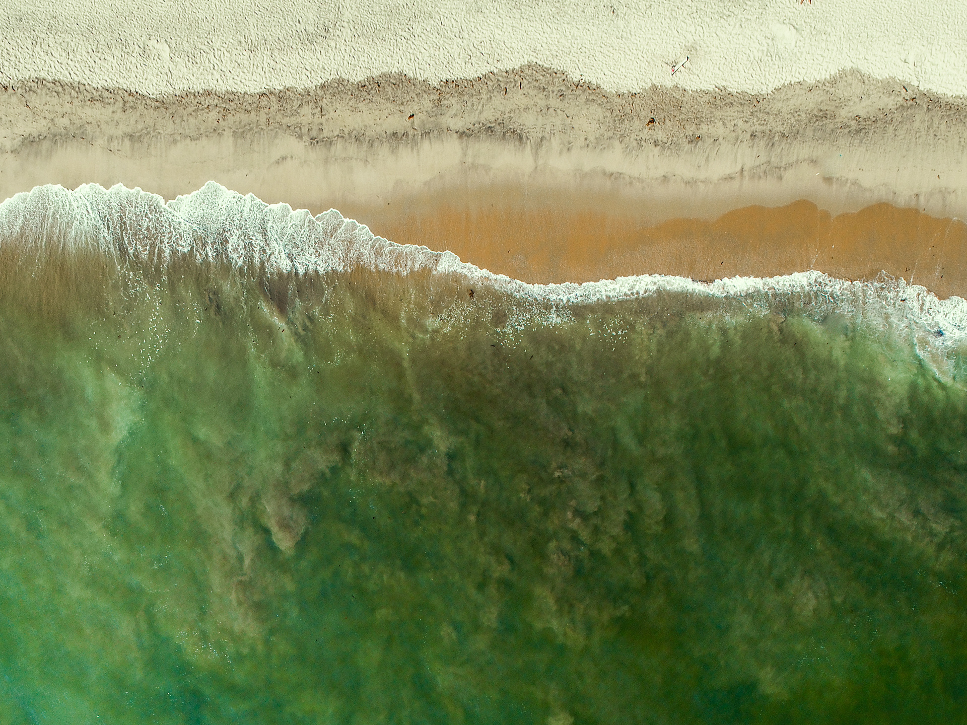 click for a buyers presentation