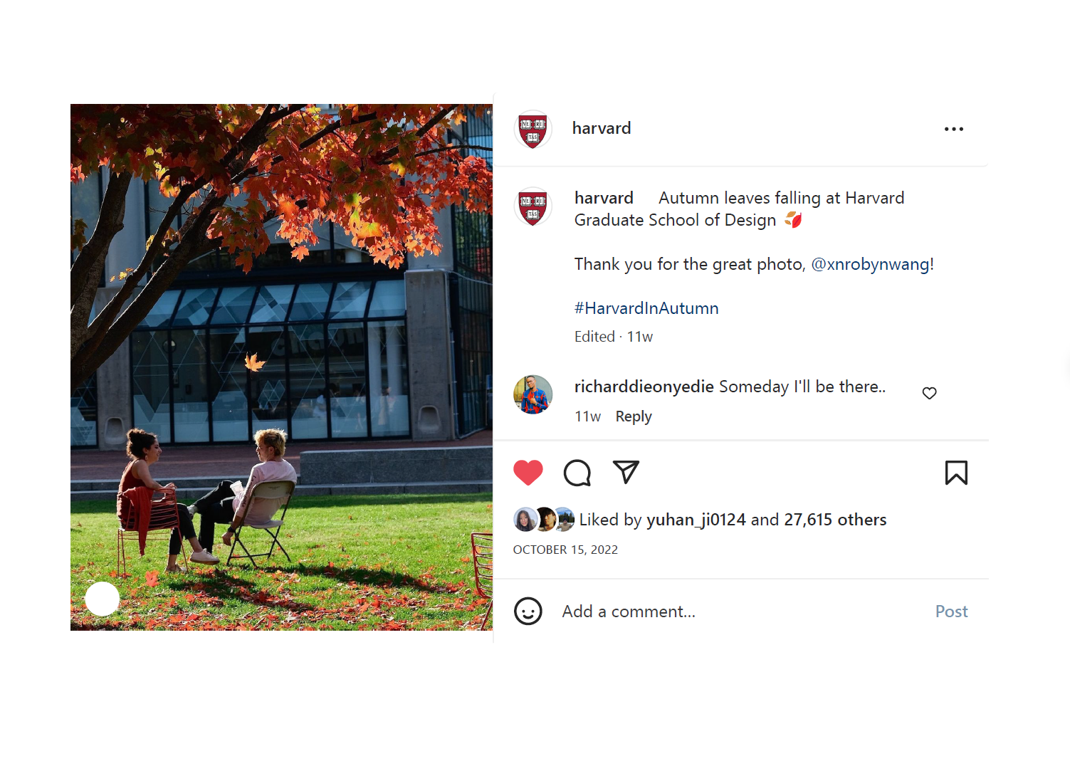 Autumn Gund Backyard, Cambridge, MA