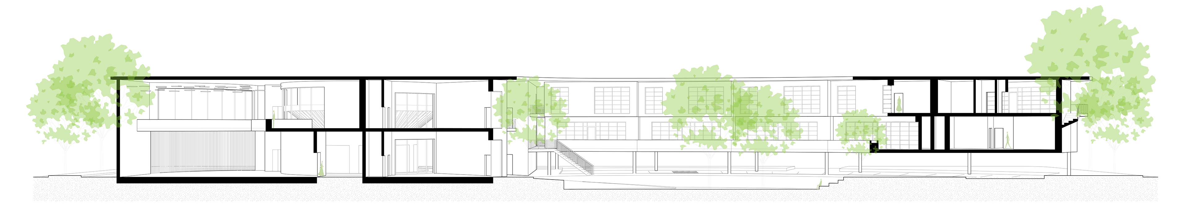 SOUTH SECTION