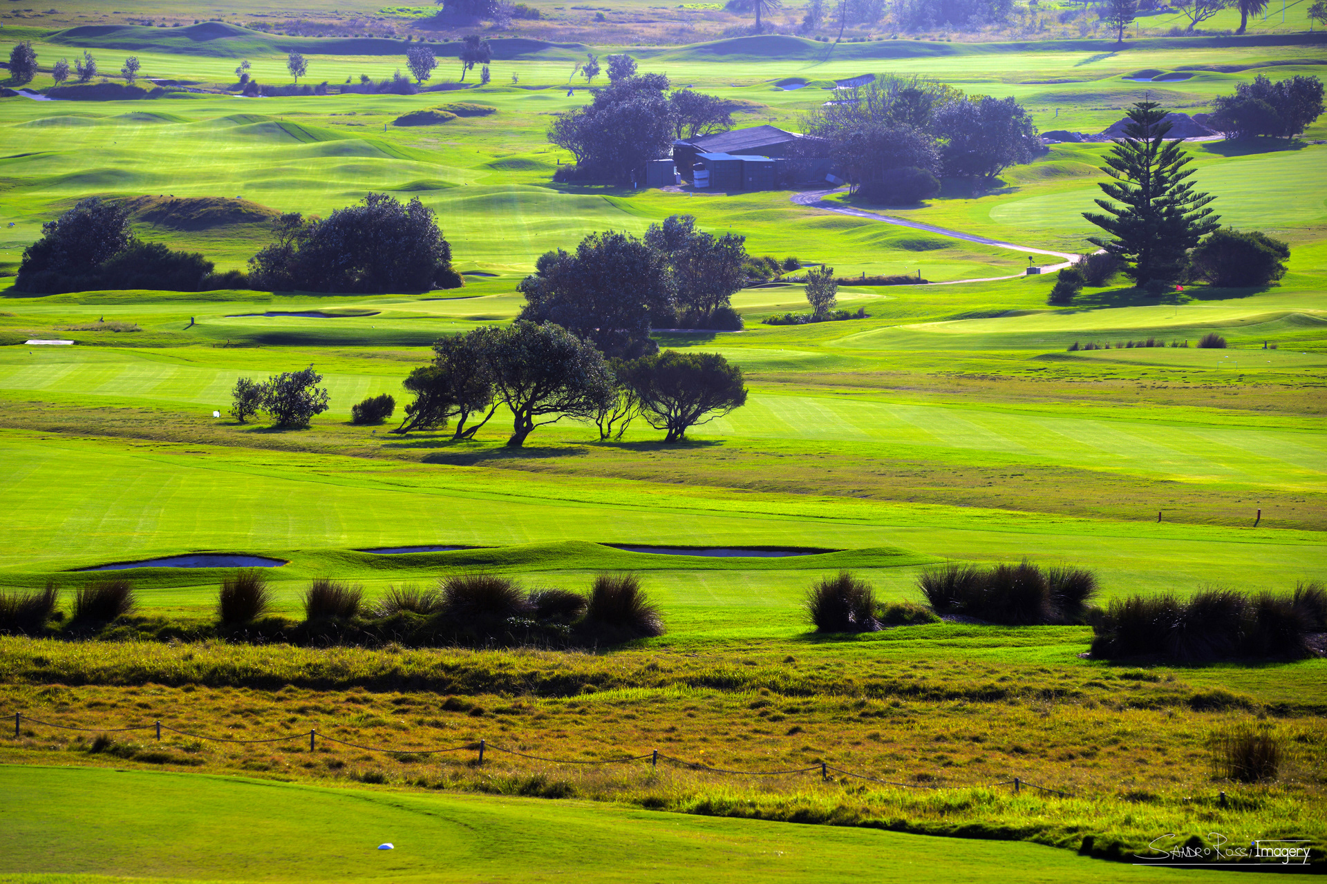 Green Fields
