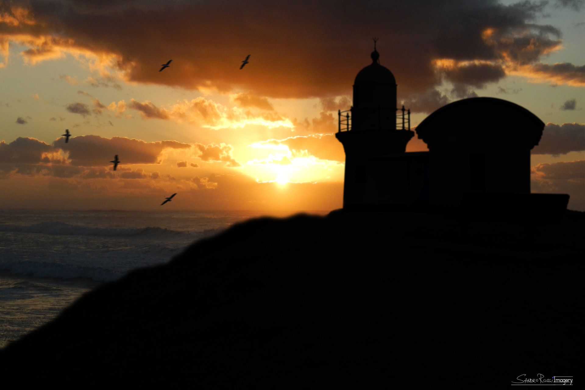 LightHouse and the Seagulls