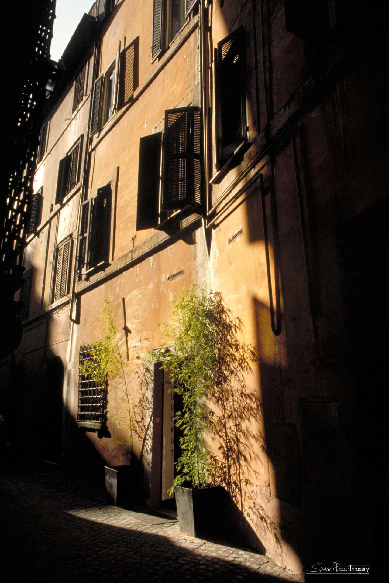 Trastevere - Roma