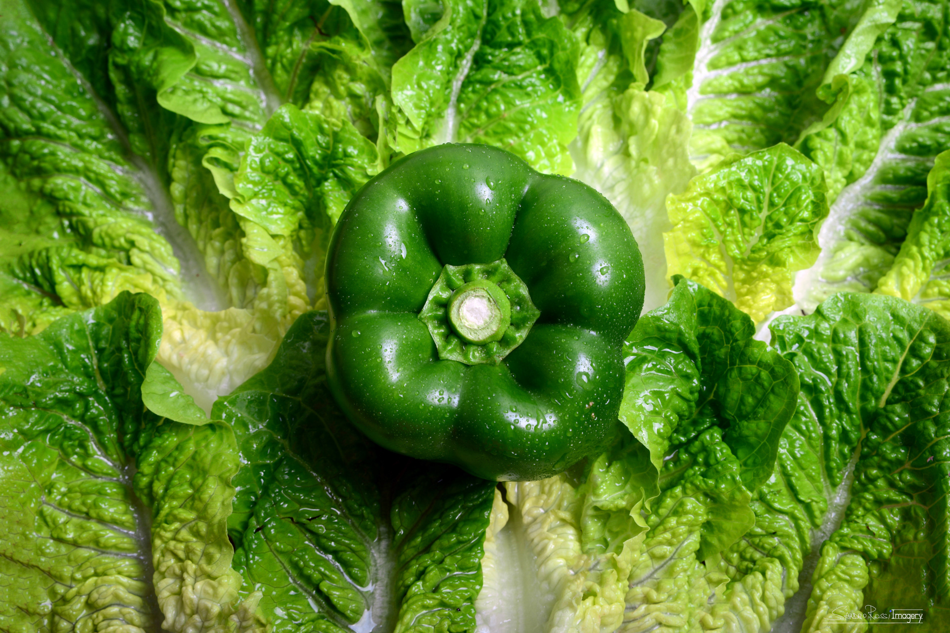 Green Capsicum