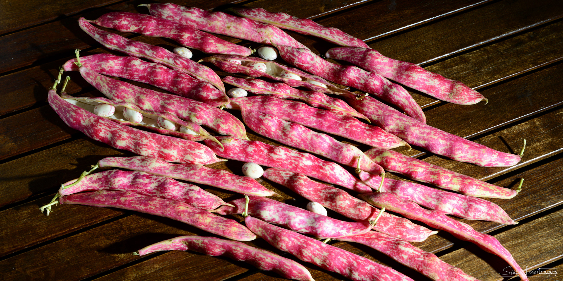 BeansScape