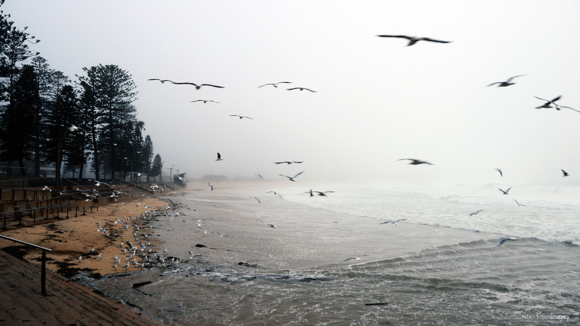 Stormy Weather at the Beach - Dee Why Australia