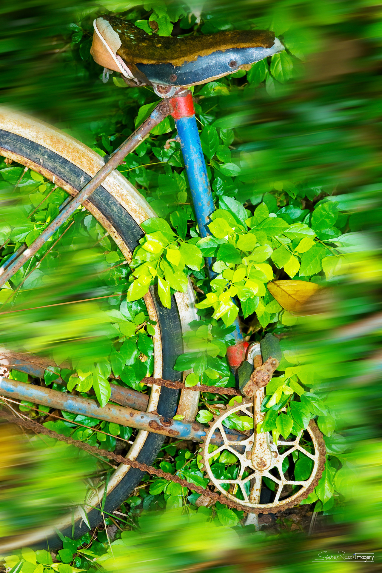 La Bici di Nonna