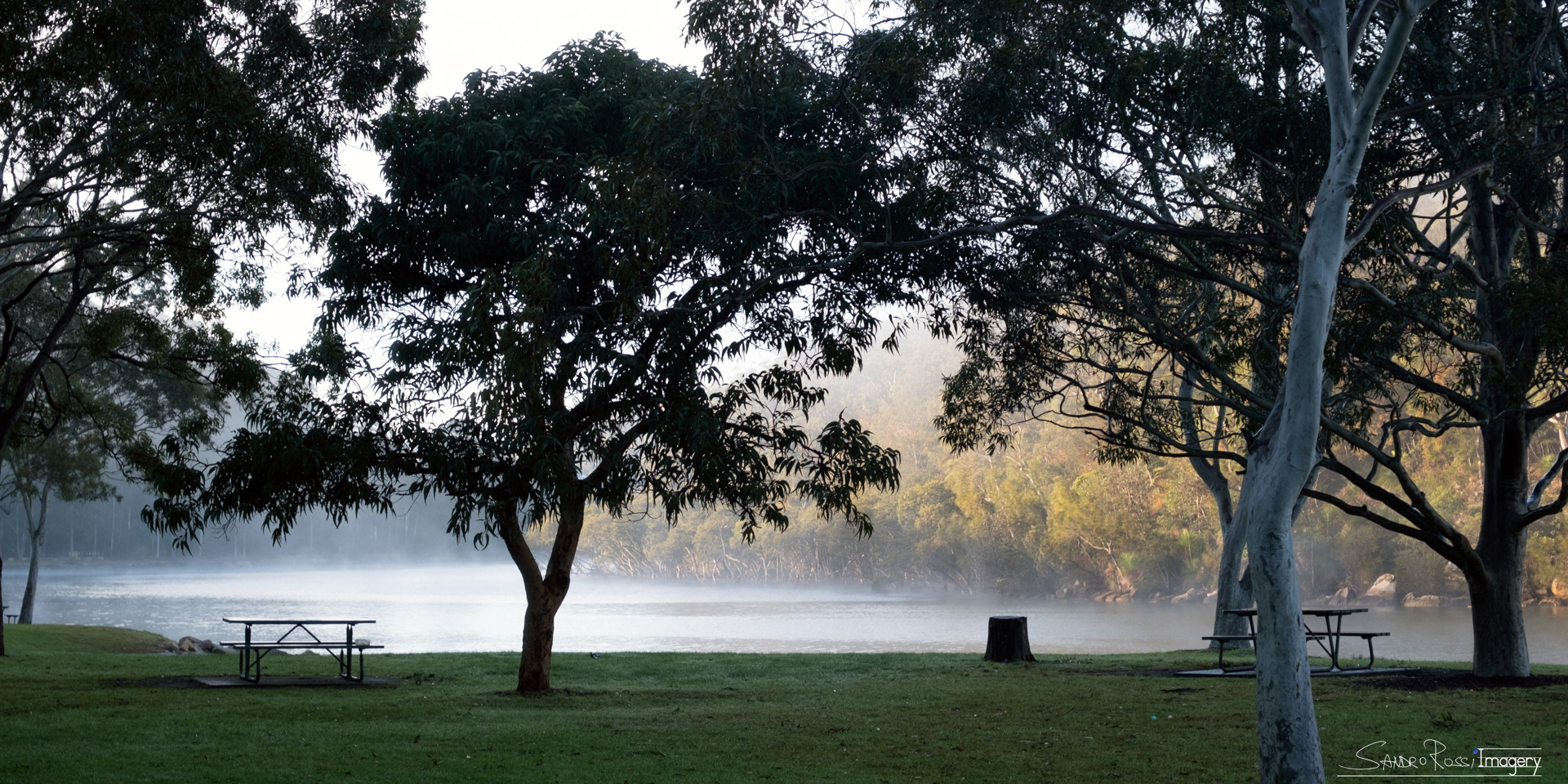 Winter Steaming Water in a Park - Sydney