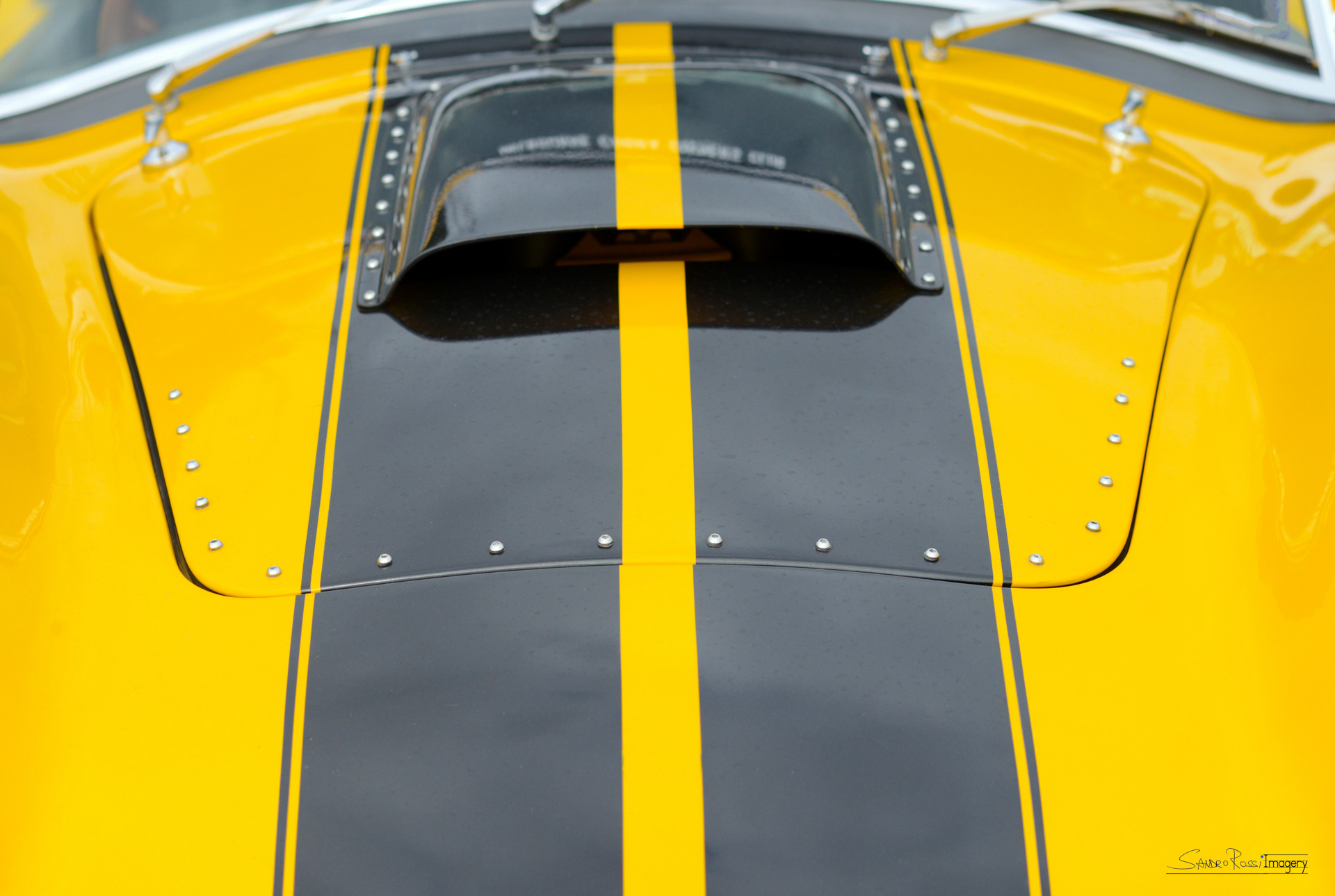 Black & Yellow Classic