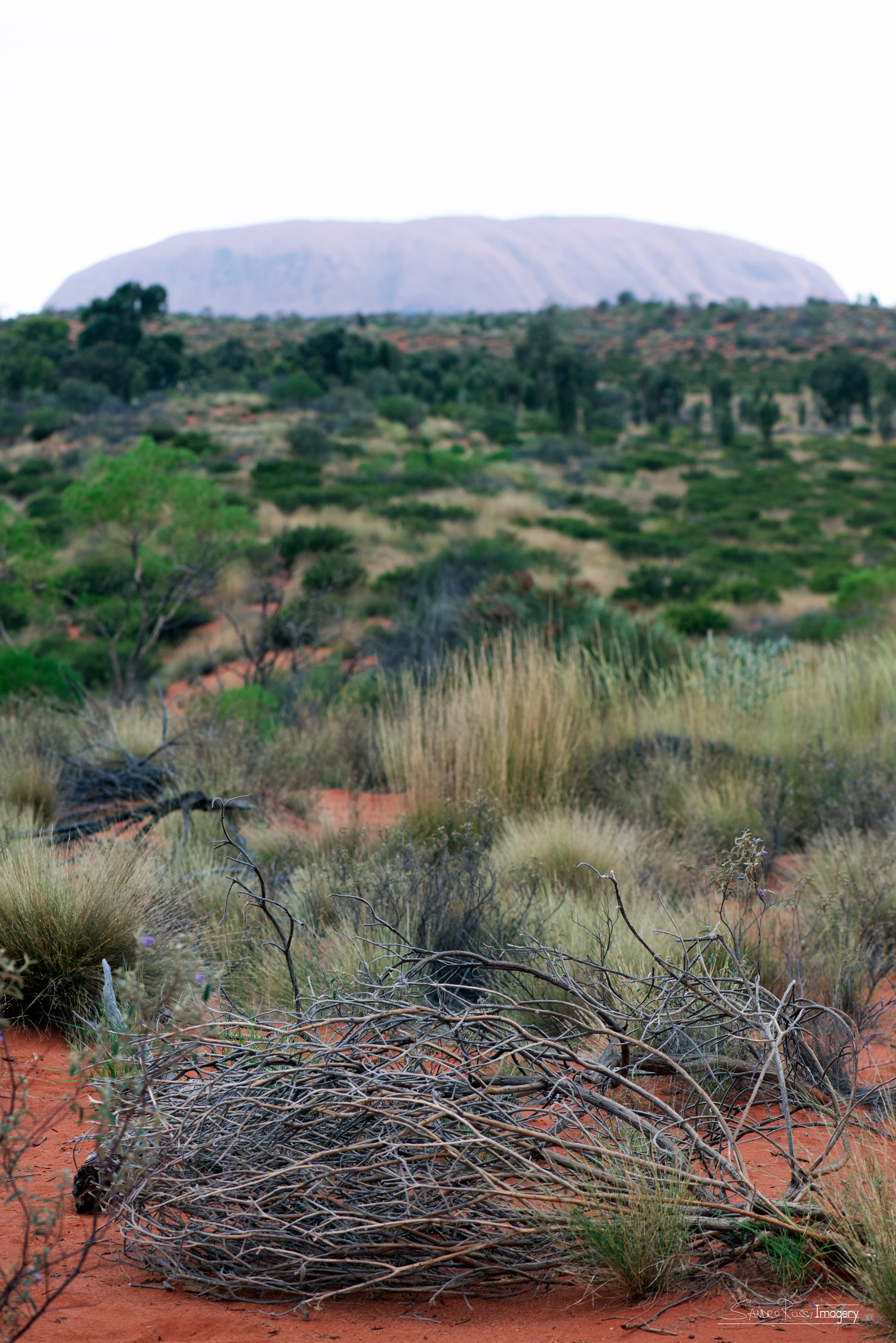 ULURU II