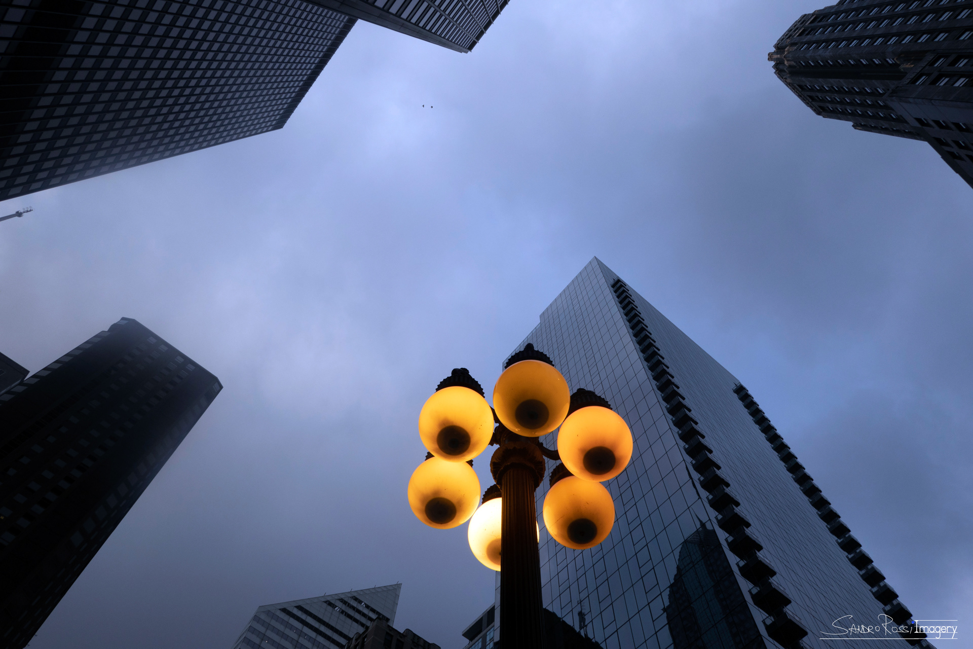 Fog Day Street Lamps - Chicago