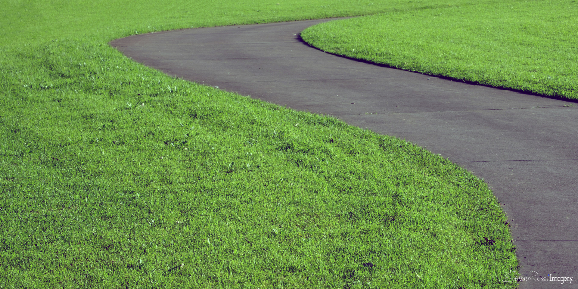 The Path III