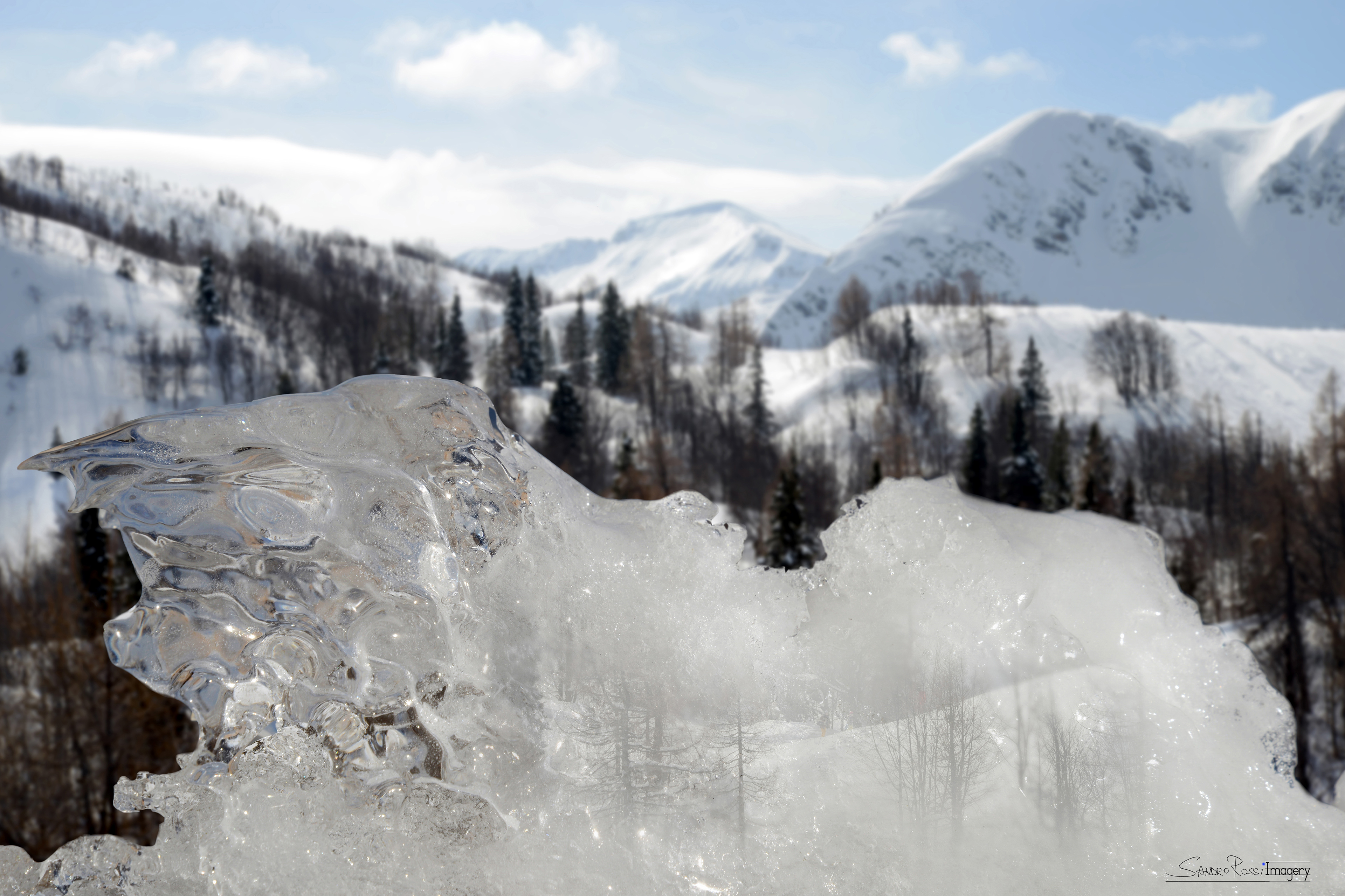 Frozen Memories