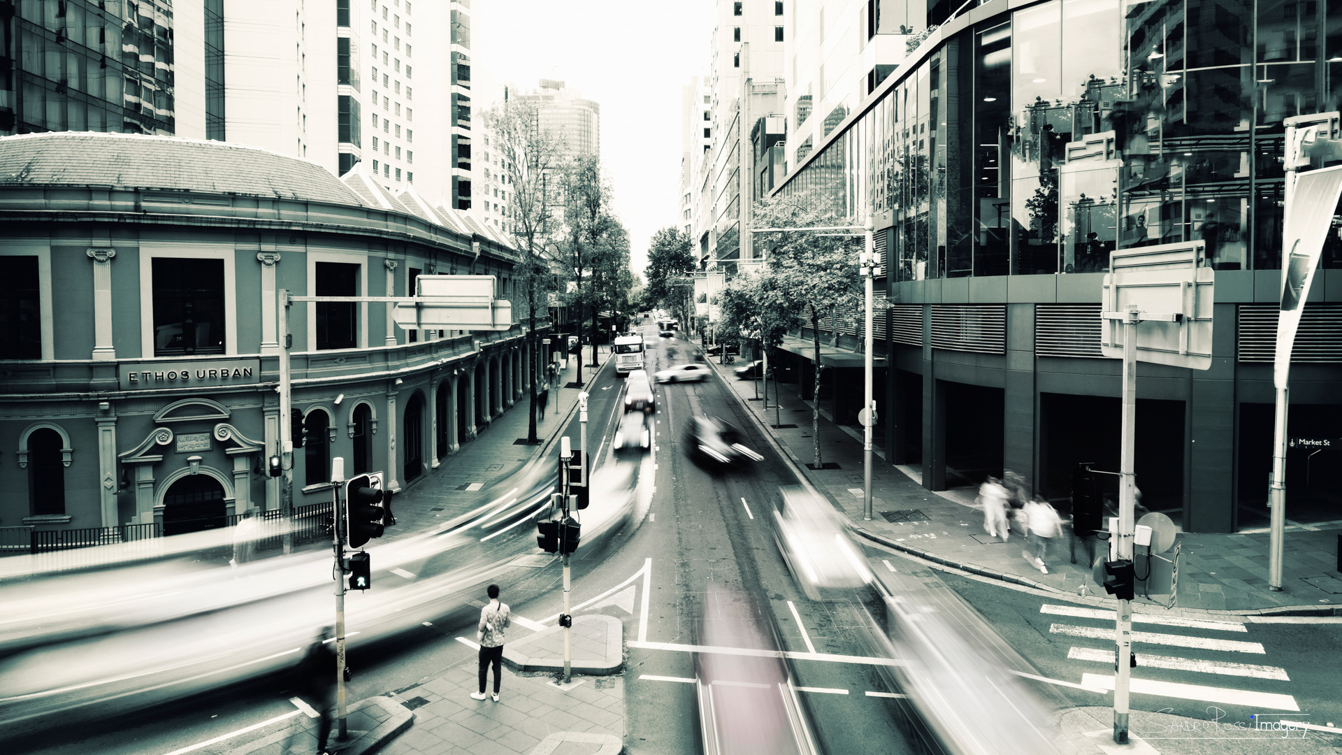 Sydney Movements