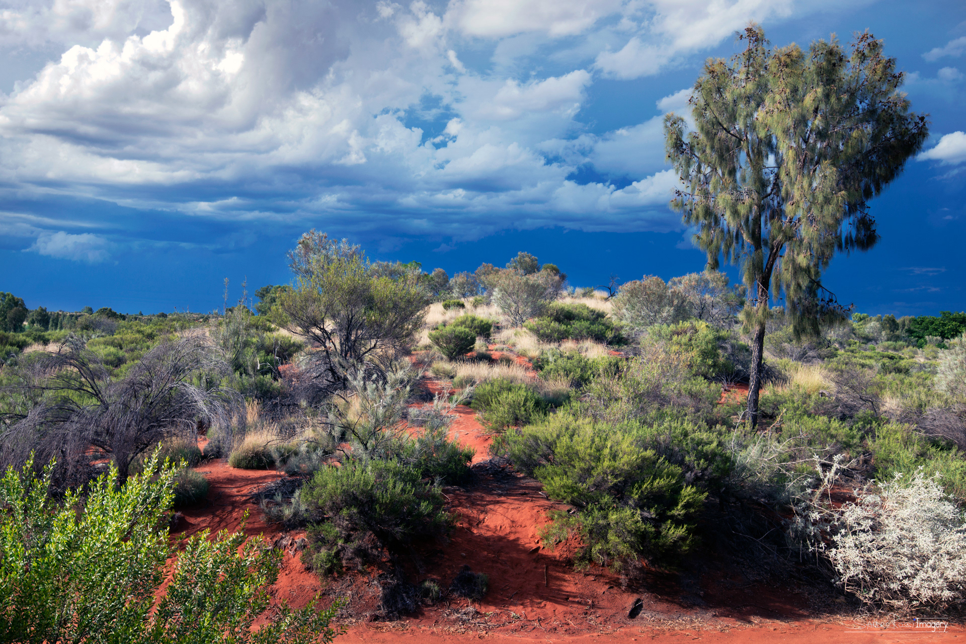 Red Desert Turbulence