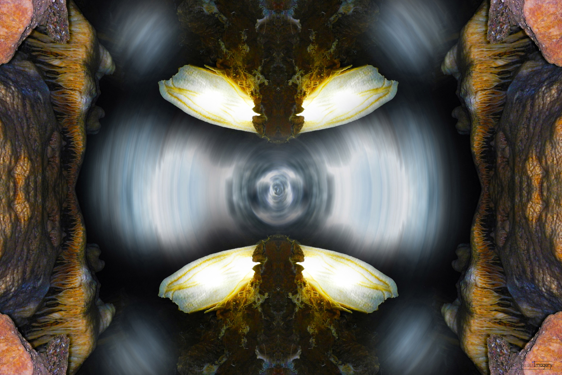 UnderGround Contact