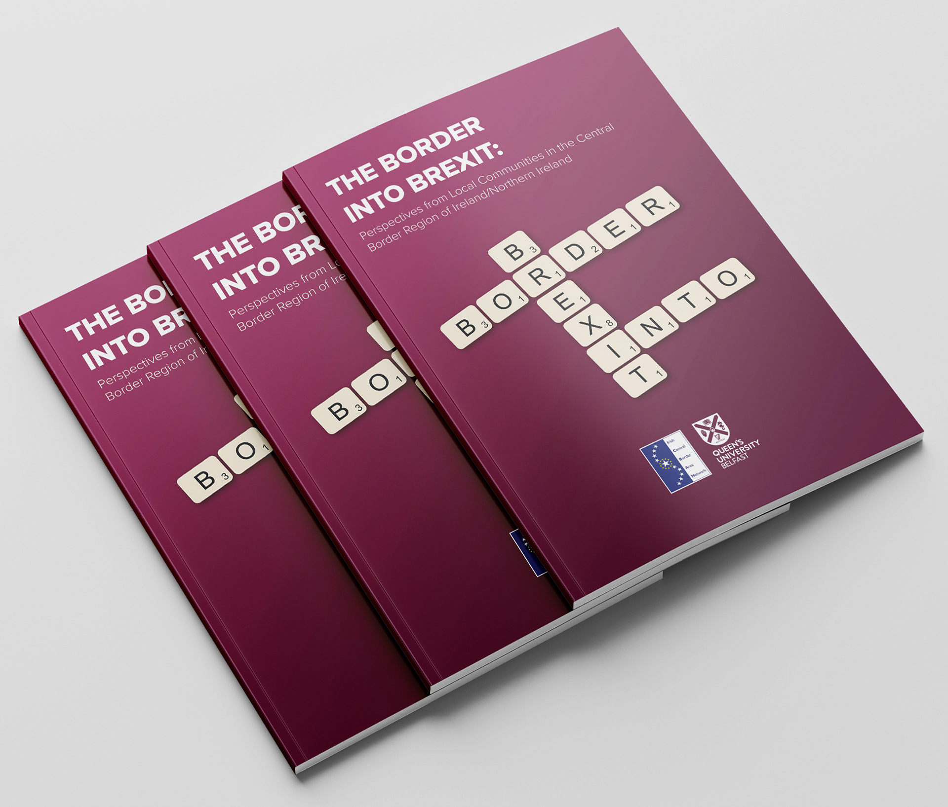 The Border Into Brexit Cover