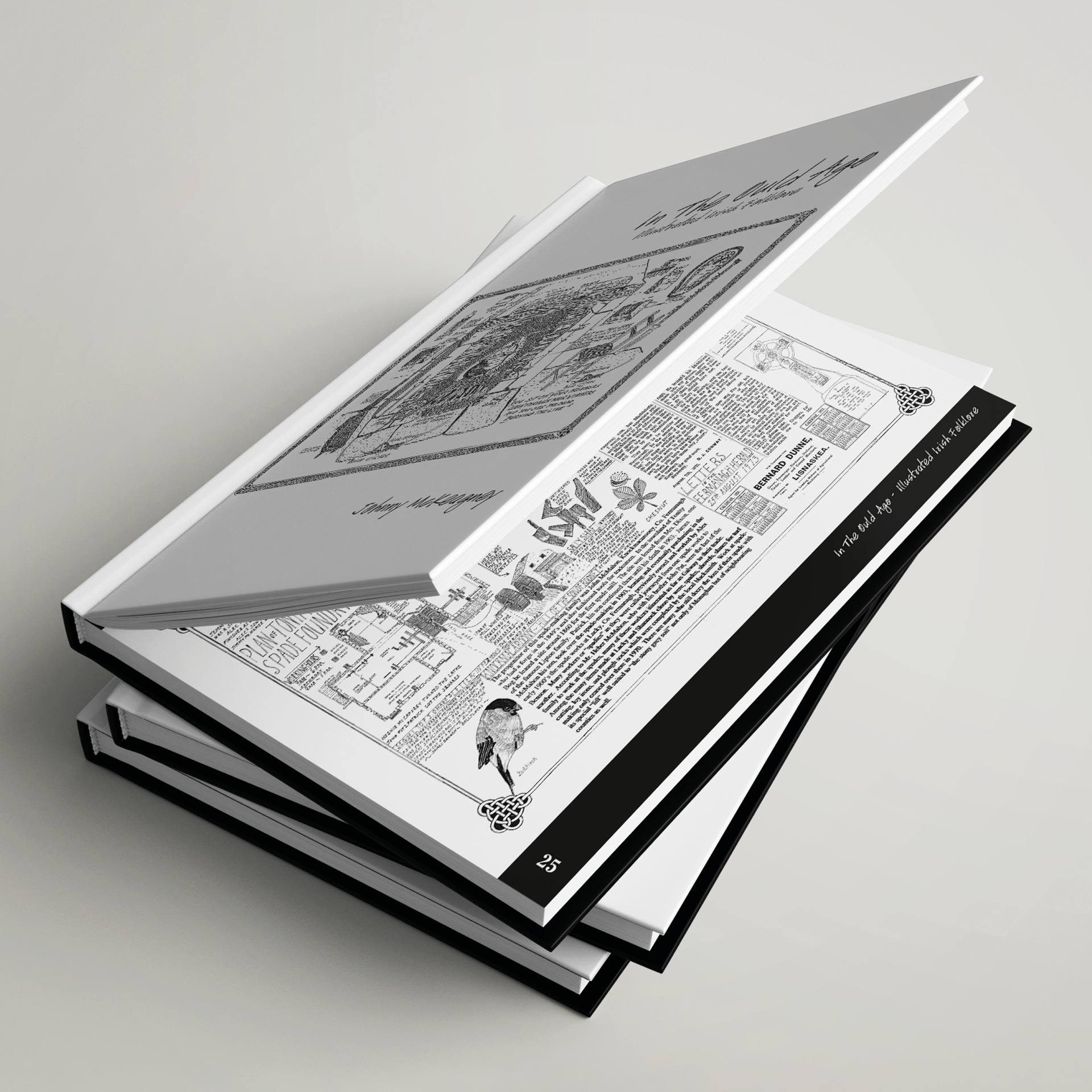 In The Ould Ago Cover