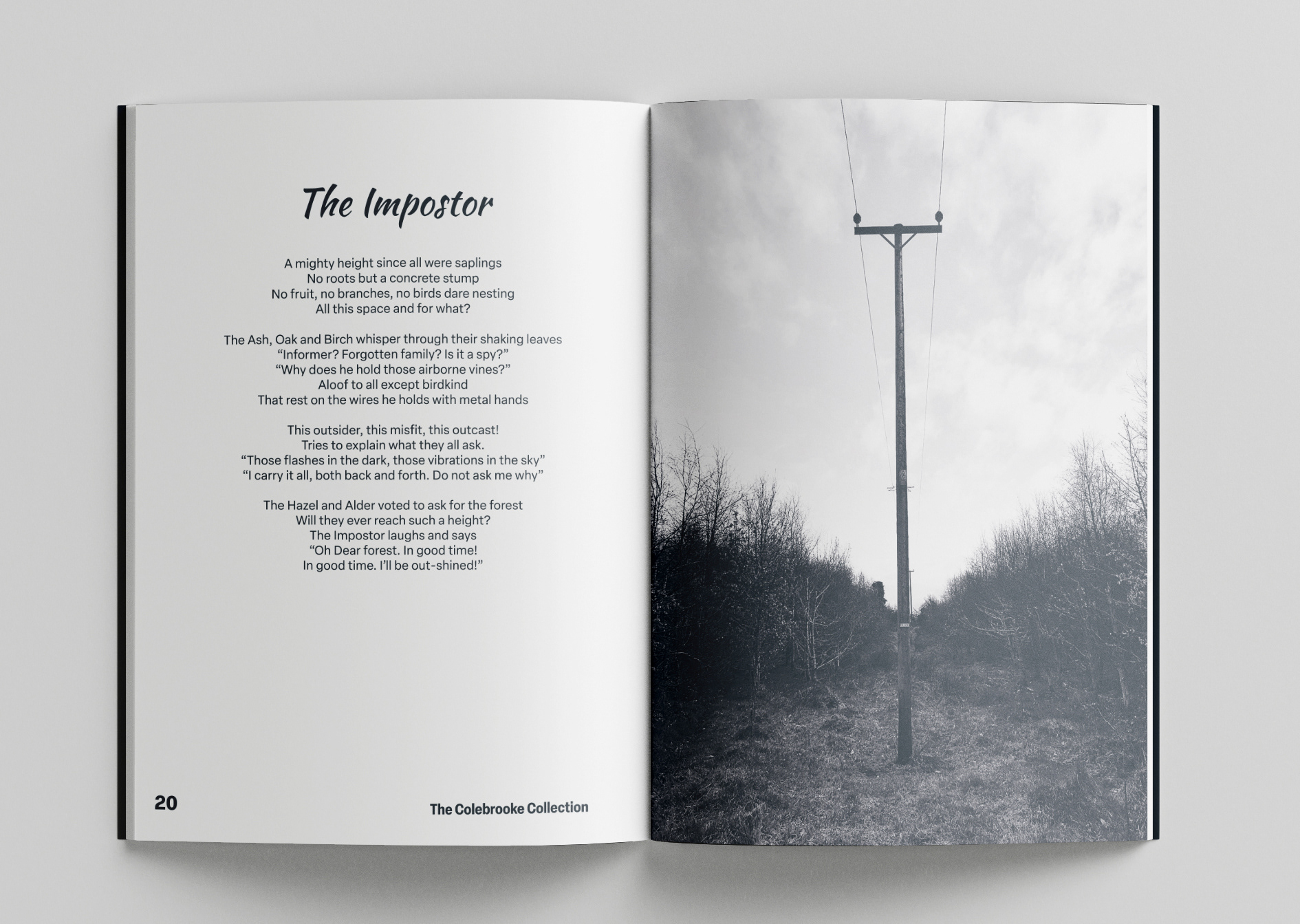 The Colebrooke Collection Pages