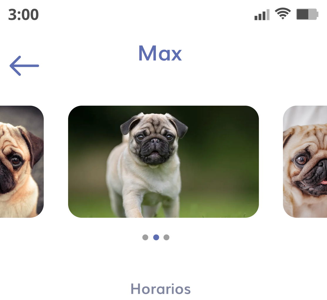 Dog profile
