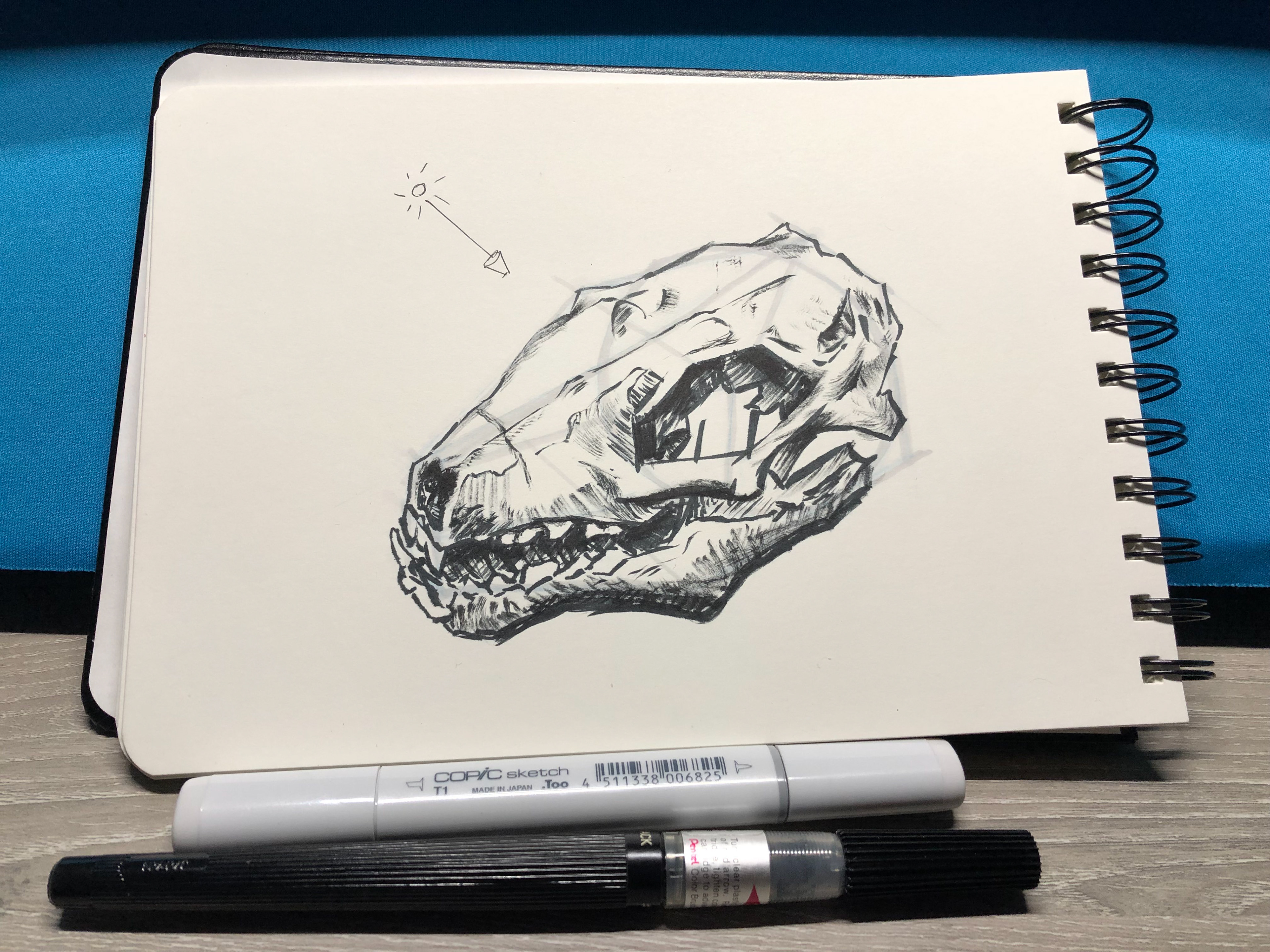 Skull Study