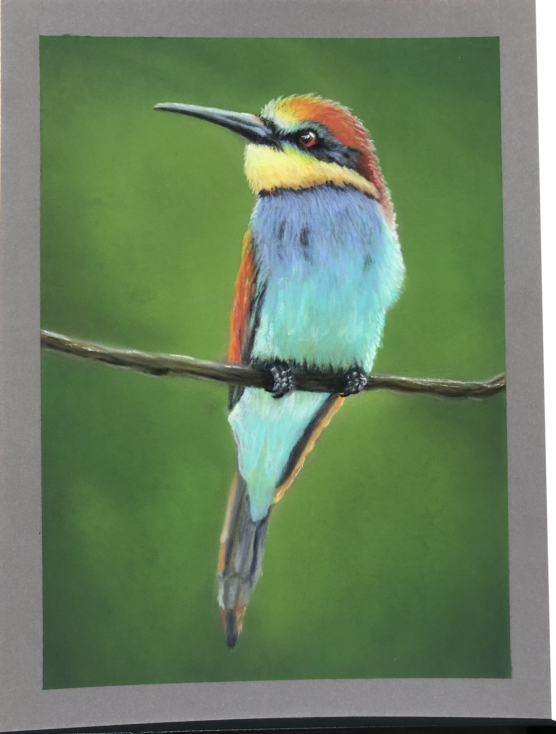 "Bee-Eater" Pastels on 7" x 9-1/2" Light Grey Pastelmat Paper - Webinar w/ K.R. Fine Arts