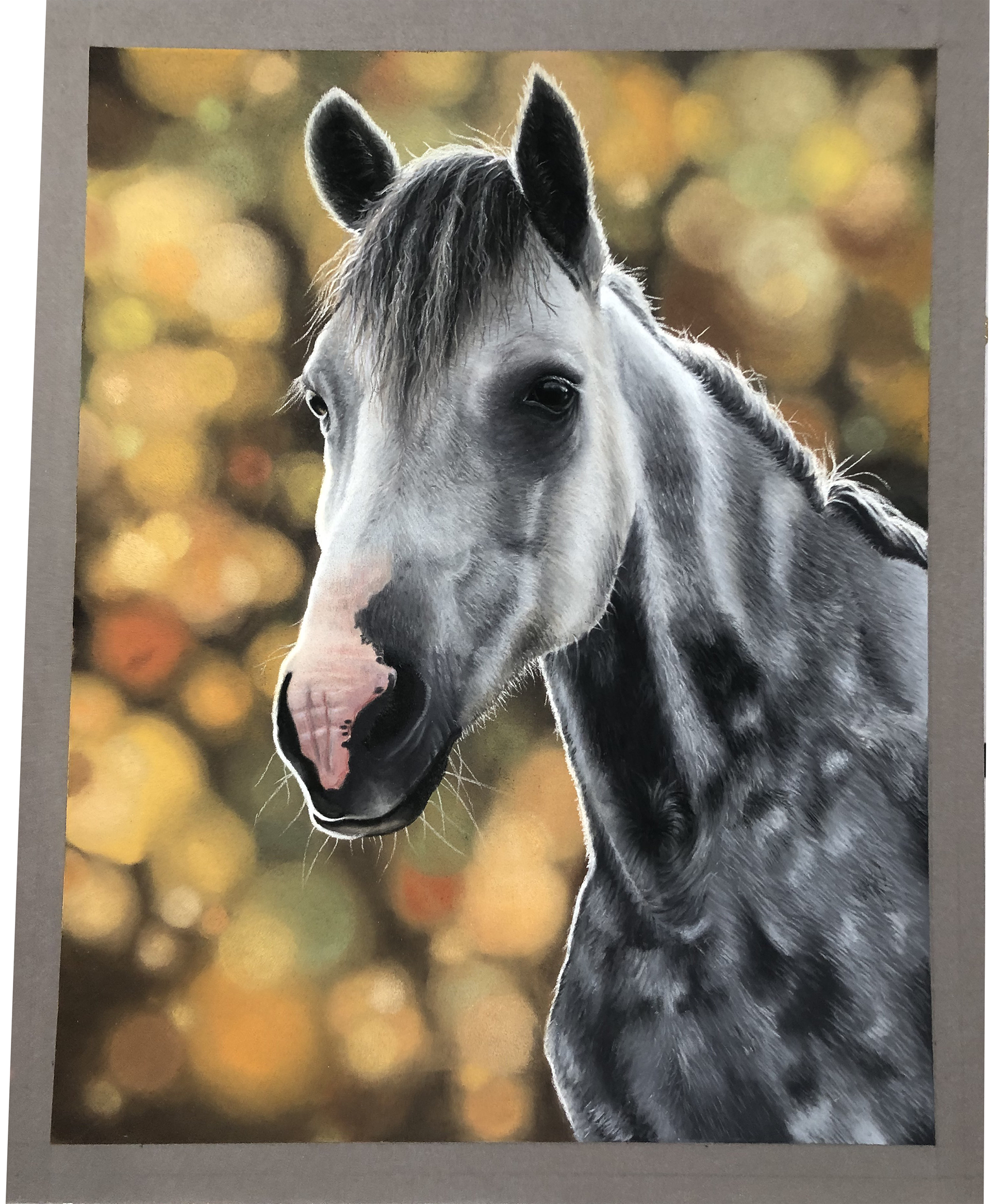 "Grey Dapple Horse" Pastels on 9" x 12" Dark Grey Pastelmat Paper - Webinar w/ Zara's Wildlife Art