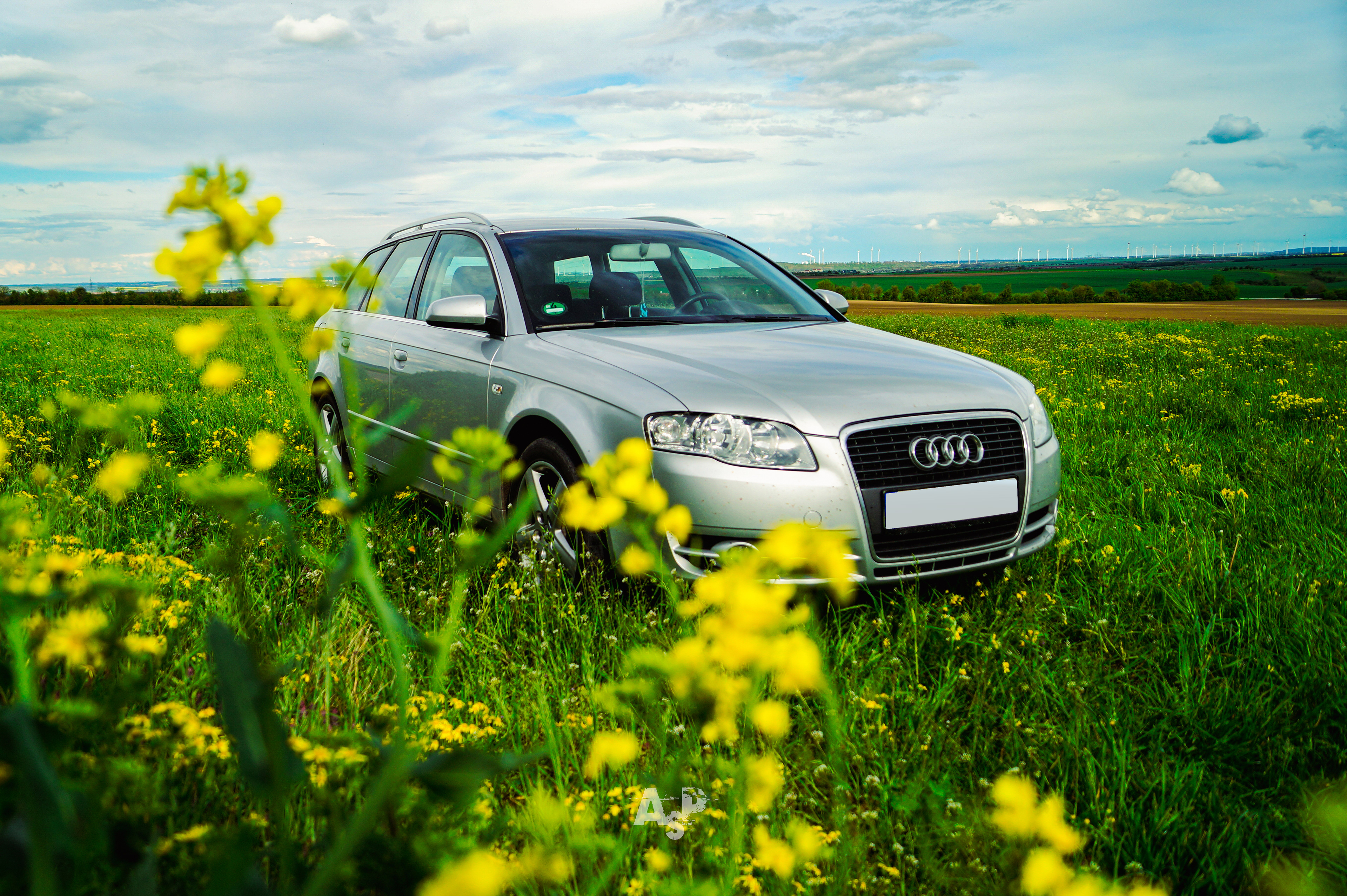 ein Schiff im Blumenfeld