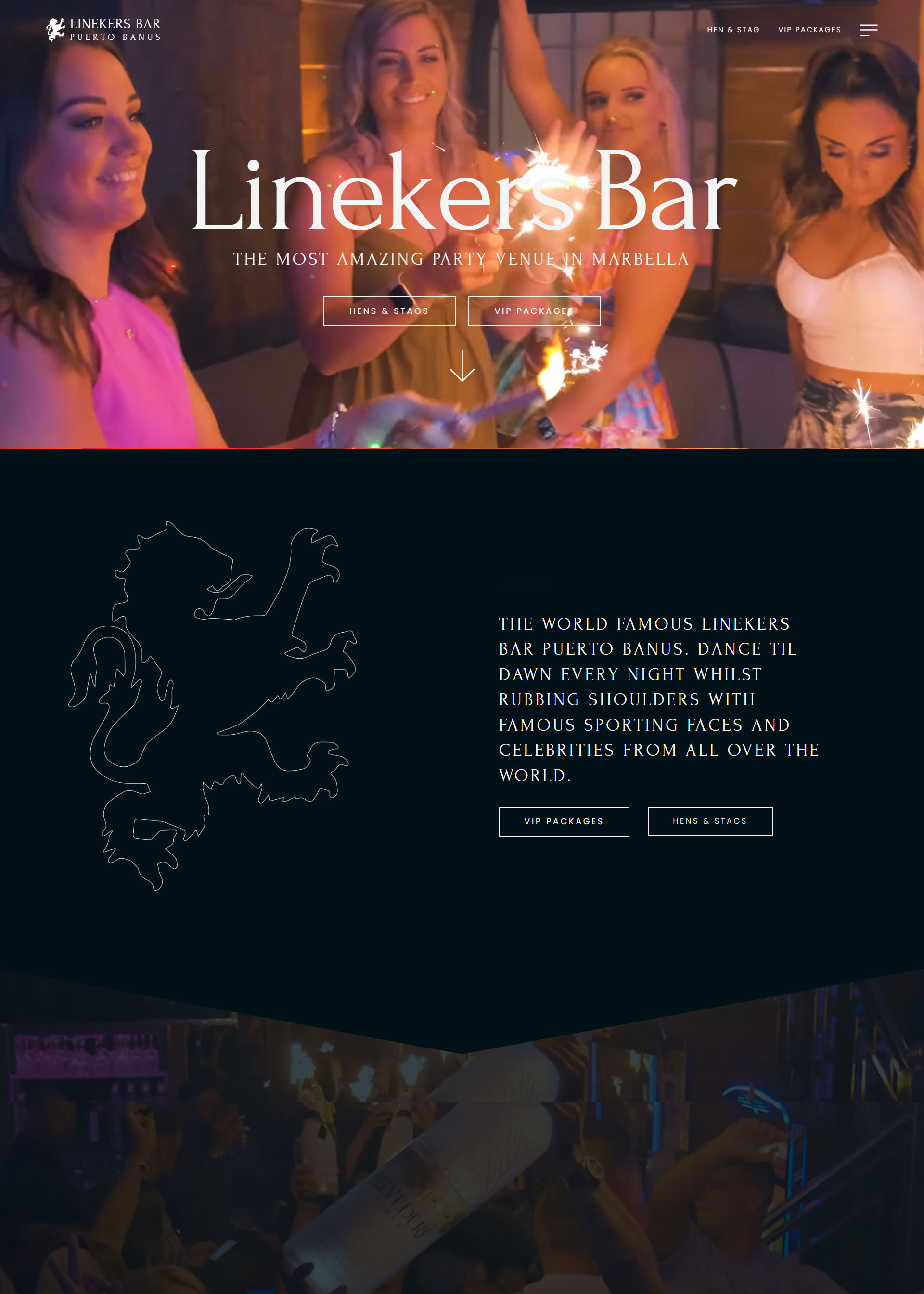 Bar Website Design