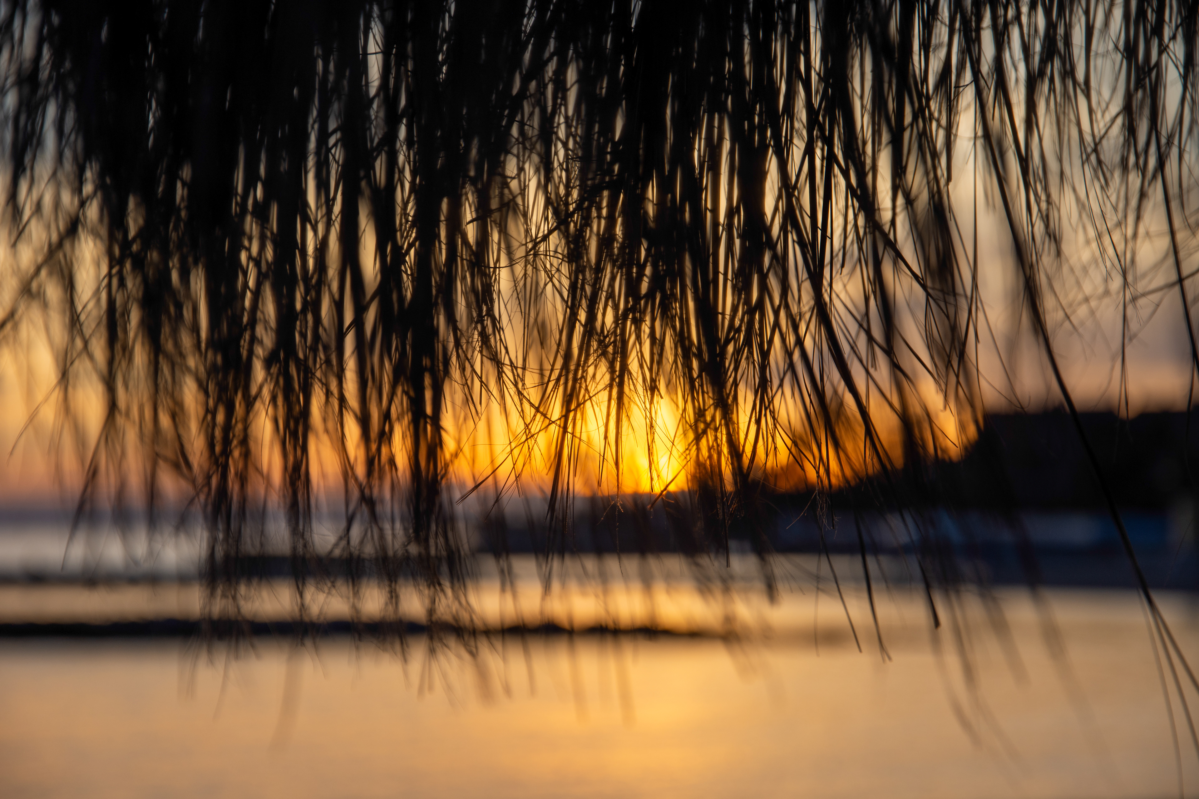Sunset Marbella
