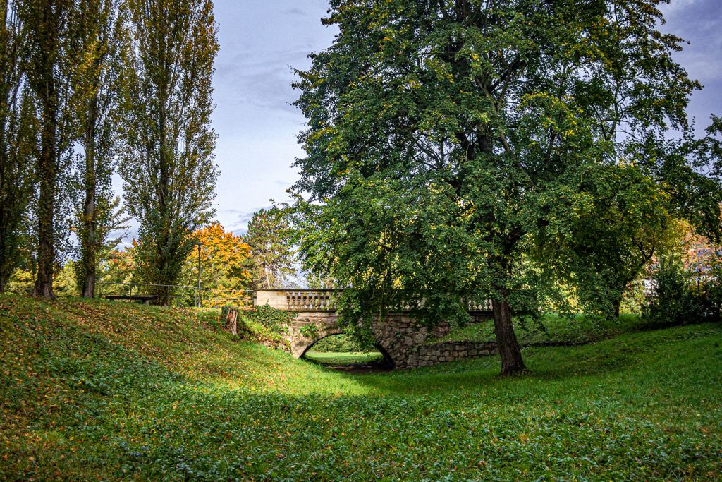 Bad Mergentheim Town Park