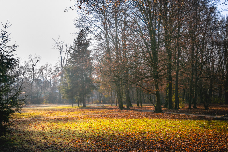 Autumn in the town park