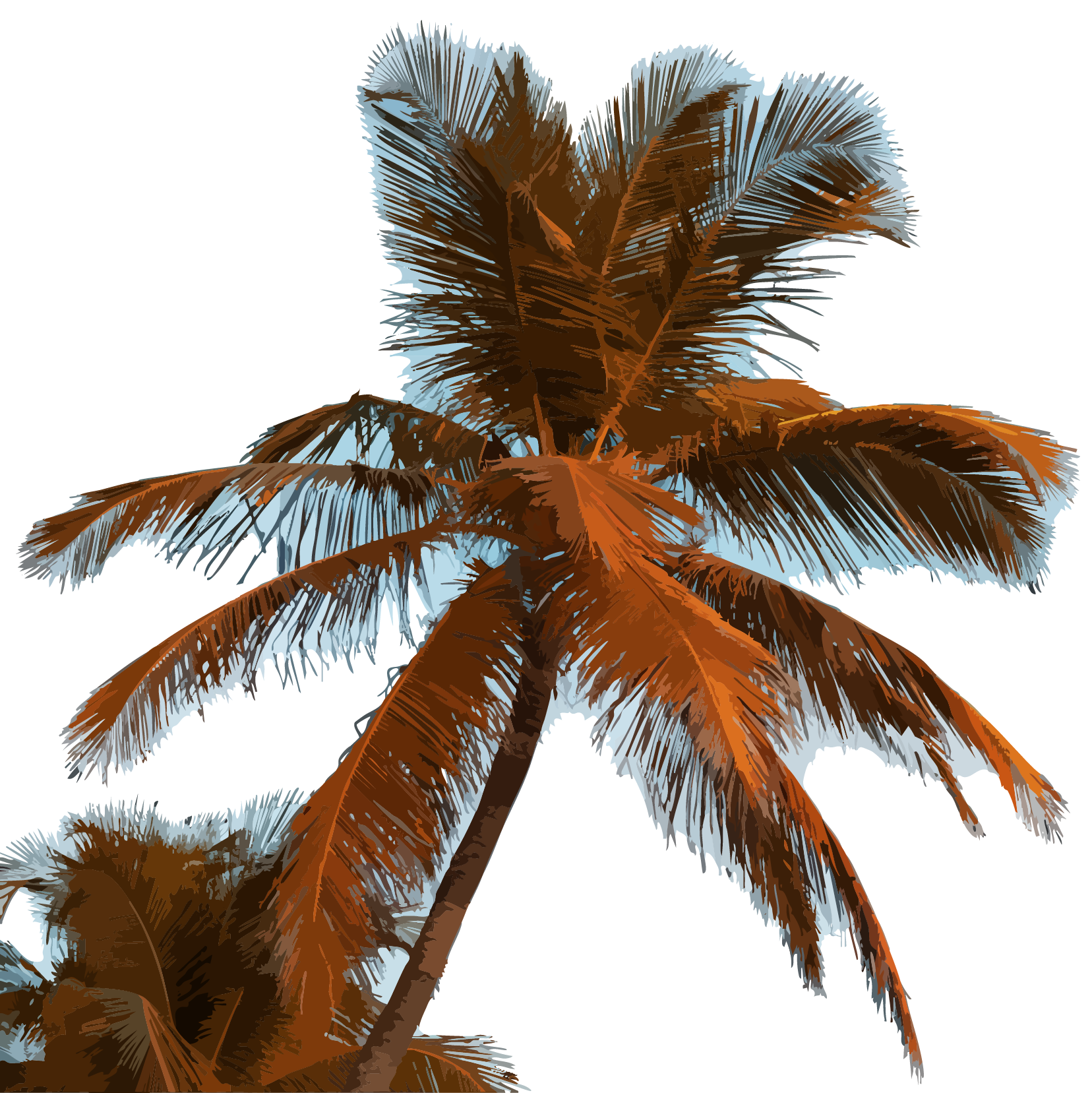 Stylized Worthing Beach Palm Tree