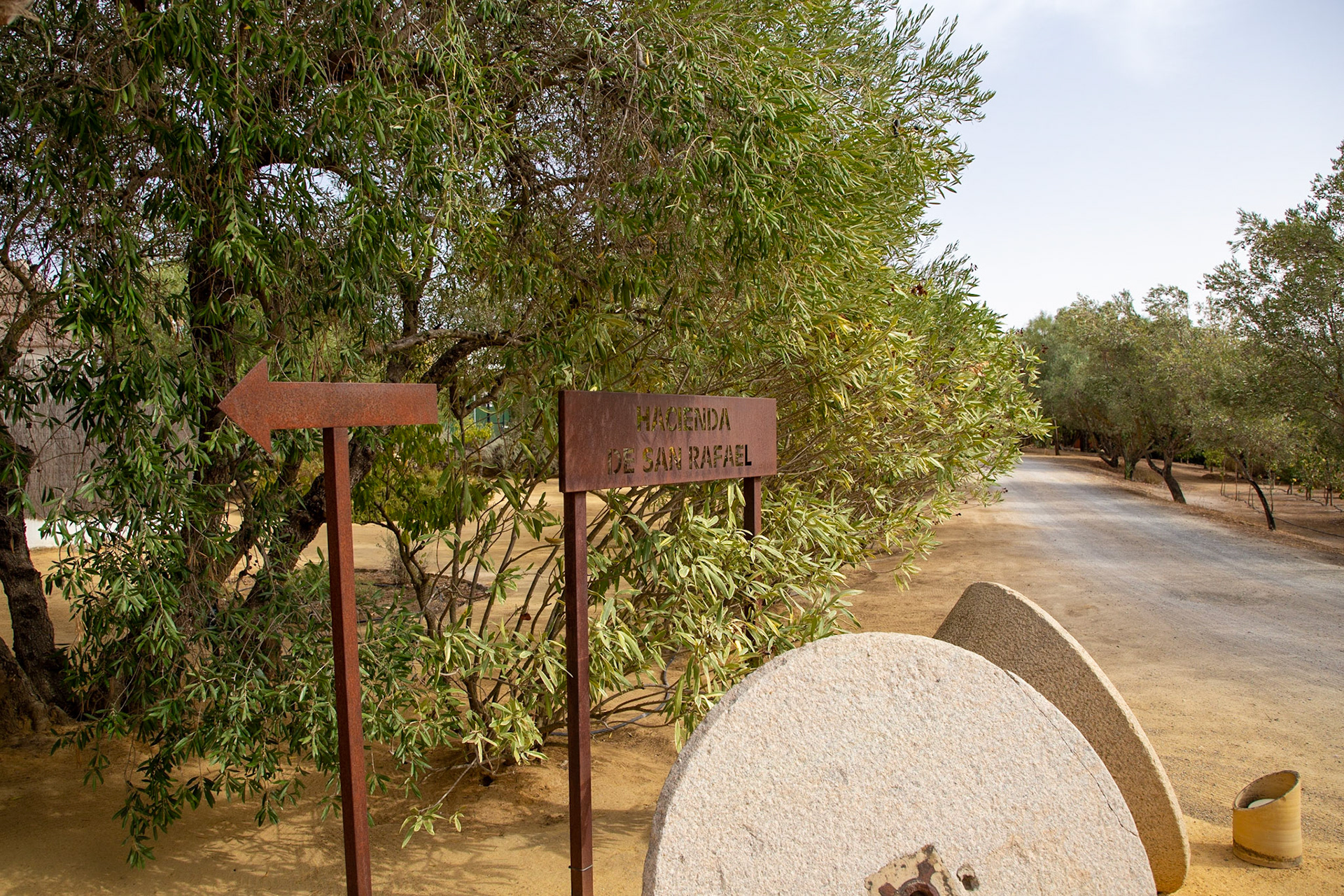 Hacienda de San Rafael