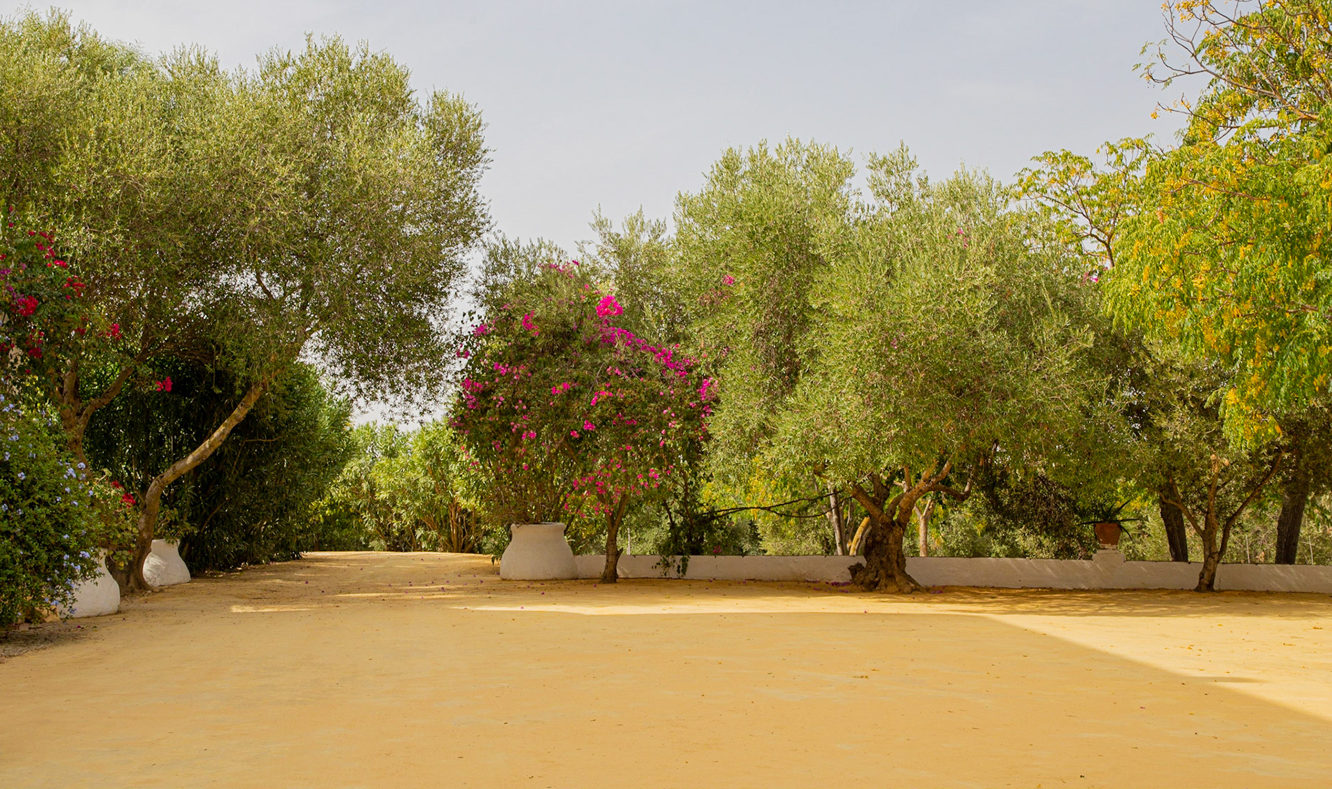 Hacienda de San Rafael