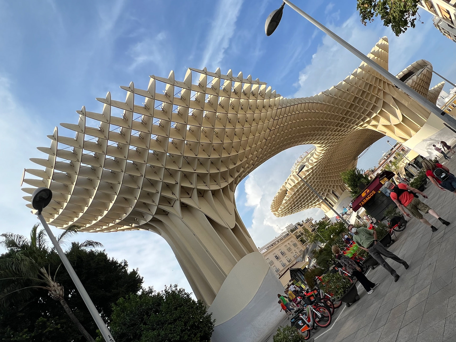 Setas de Sevilla ("Mushrooms of Seville")